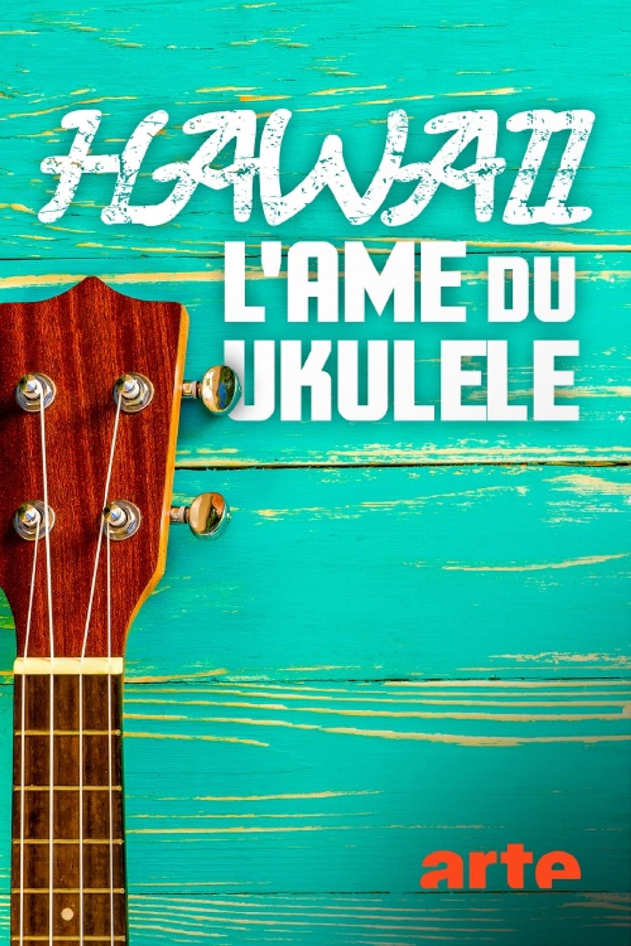 Hawaii, l'âme du ukulélé preview 1