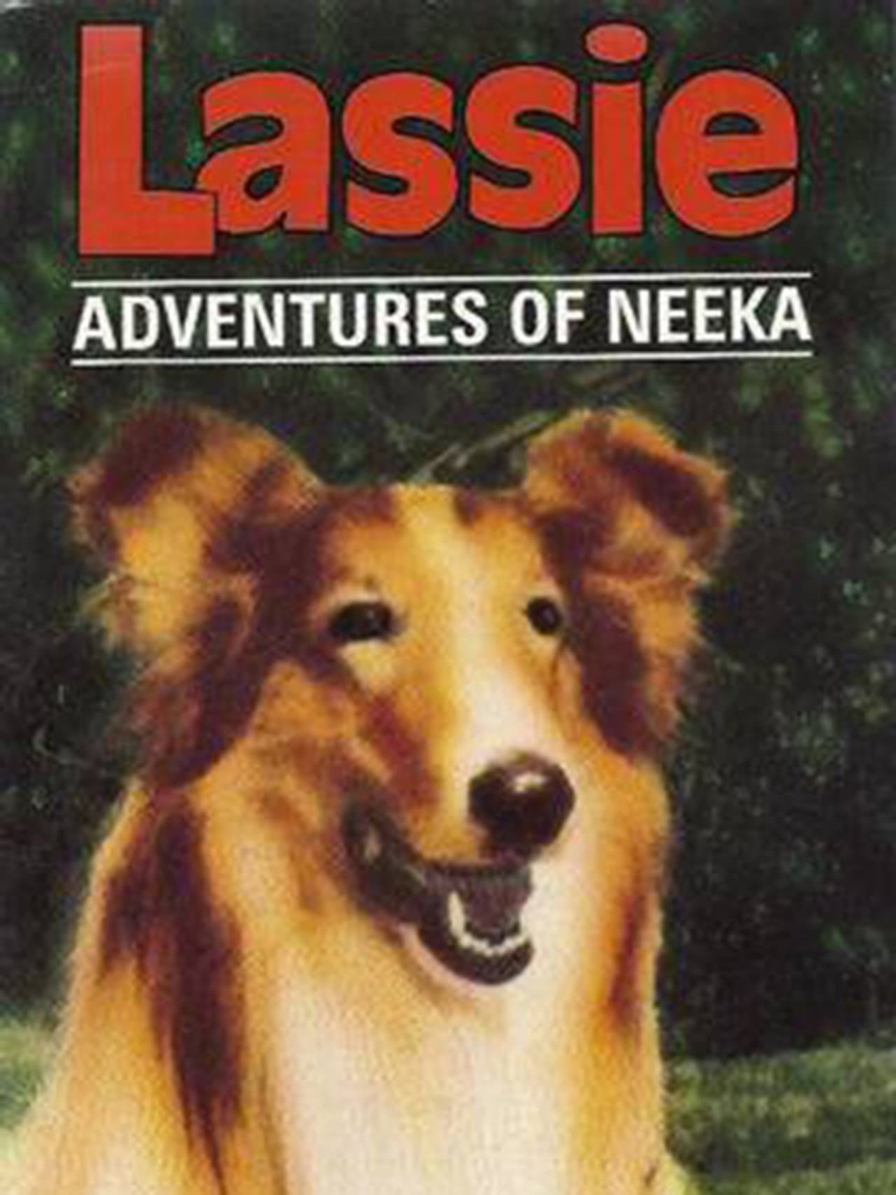 Lassie: The Adventures of Neeka preview 2