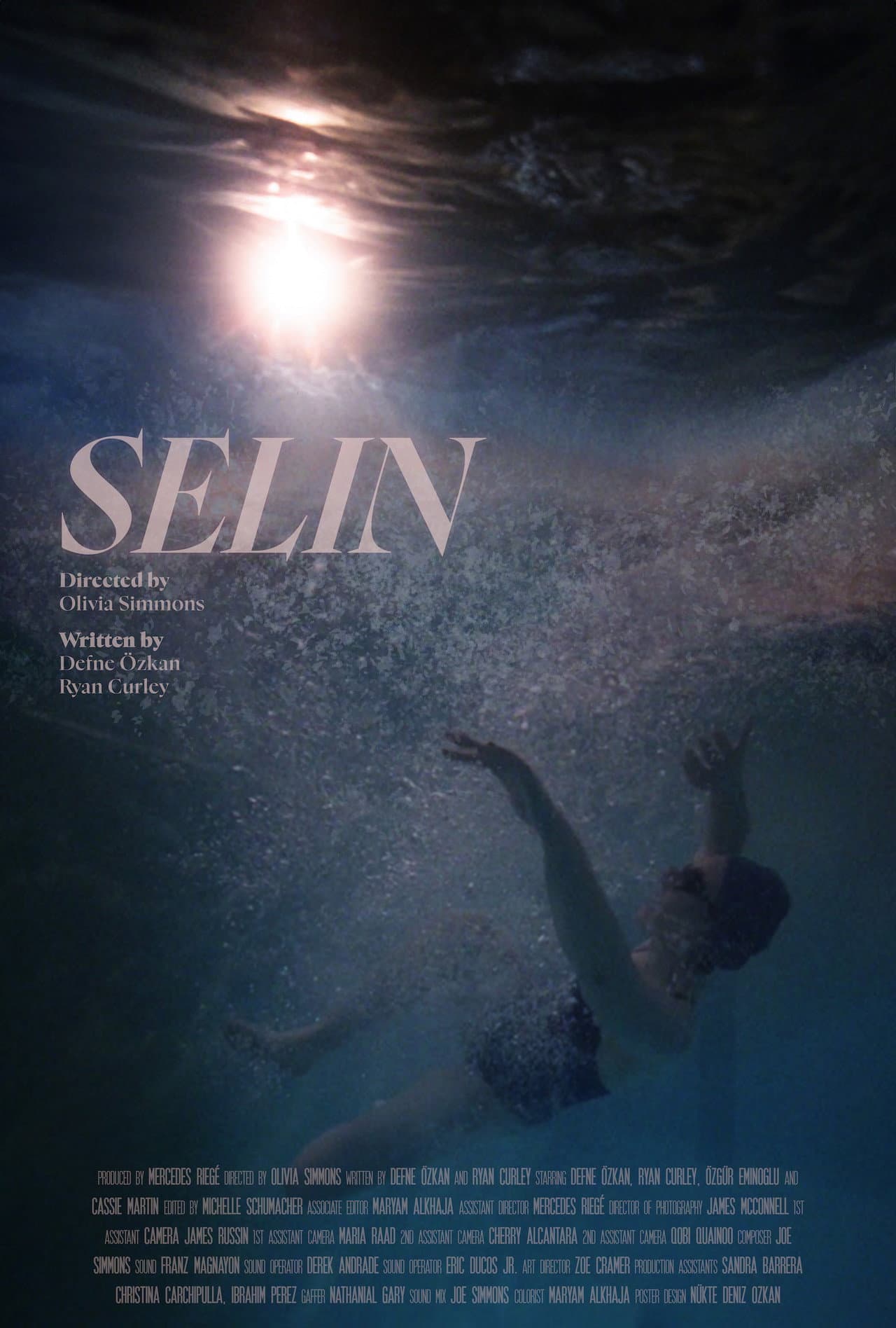 SELIN preview 1
