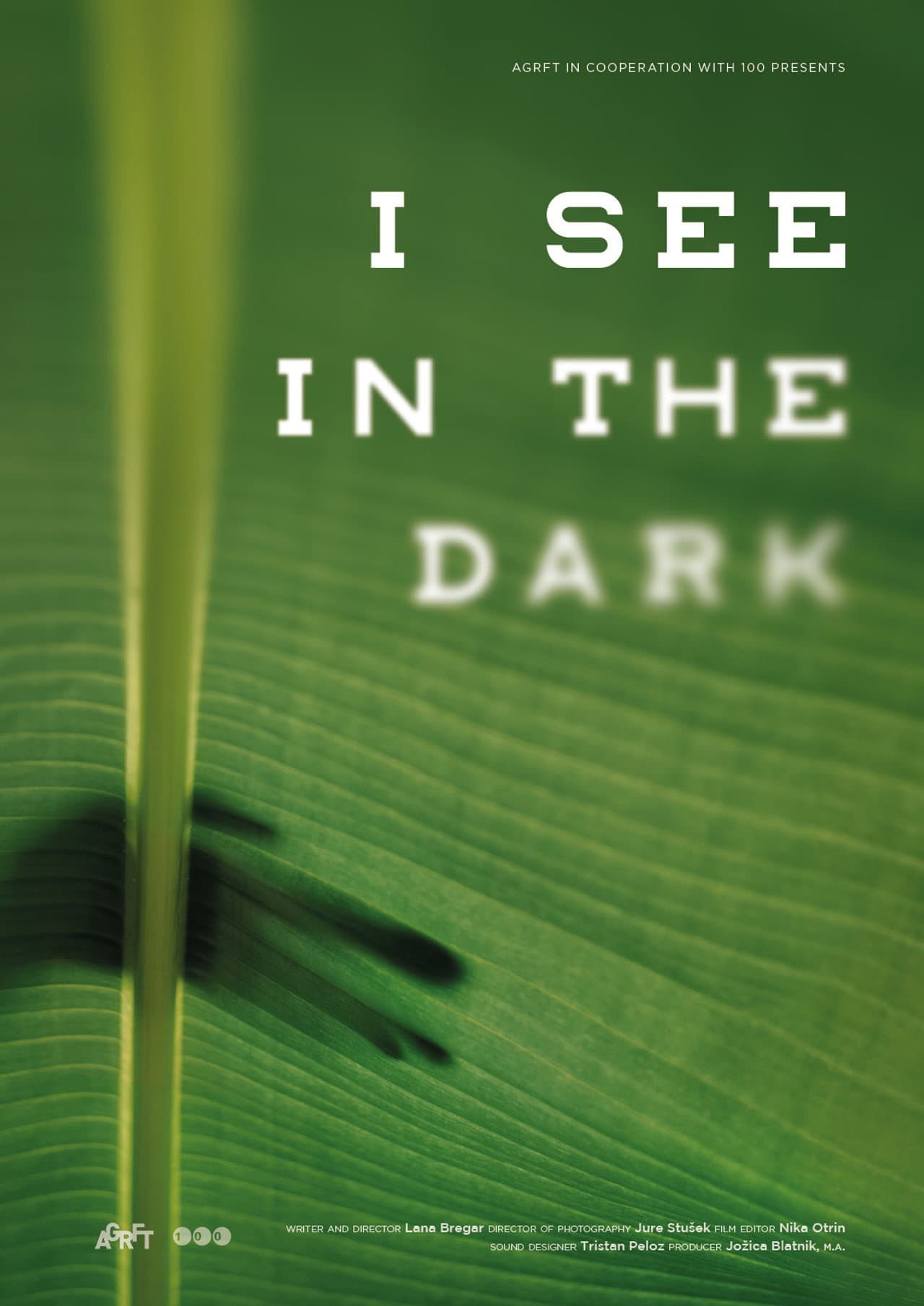 I See in the Dark preview 2