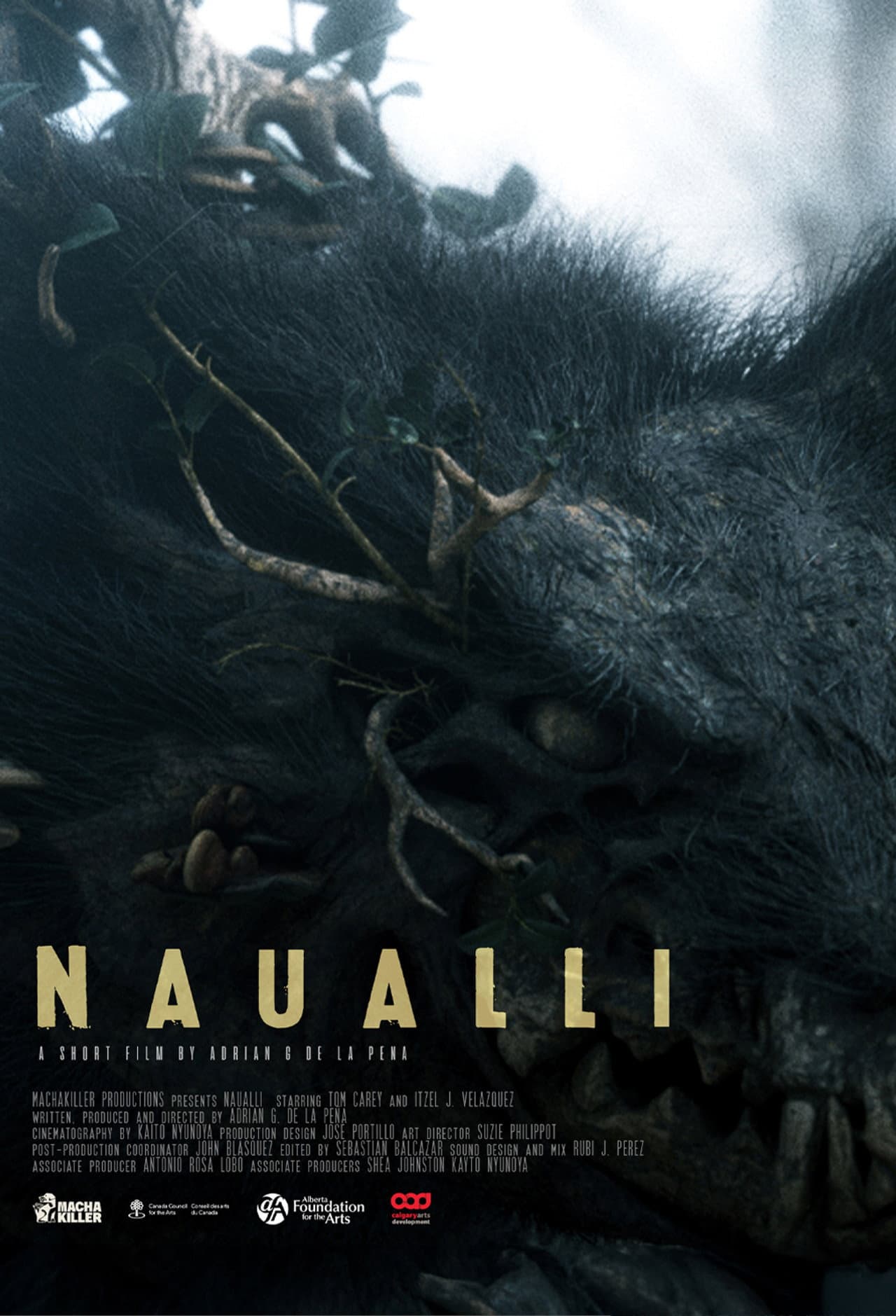 Naualli preview 2