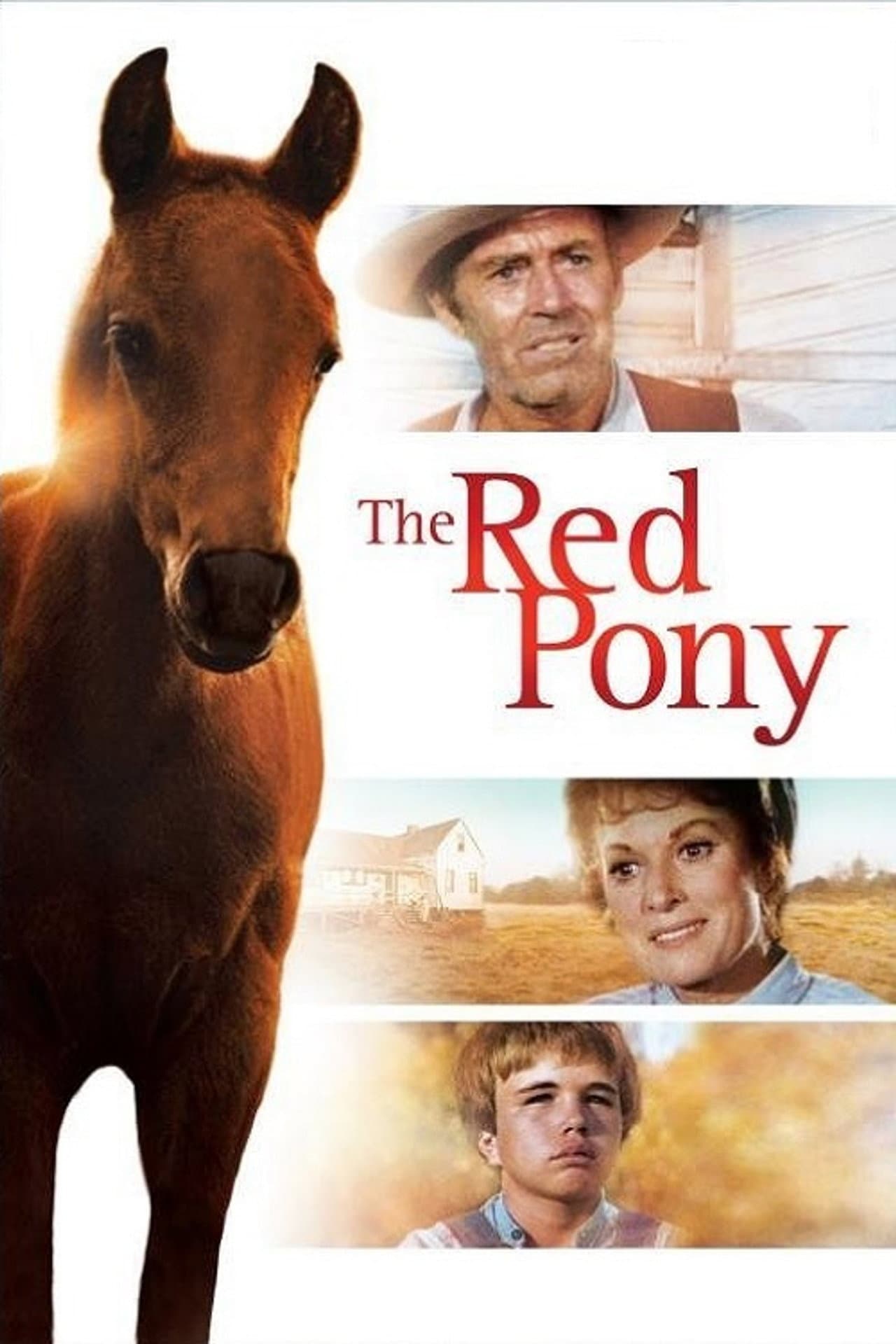 The Red Pony preview 2