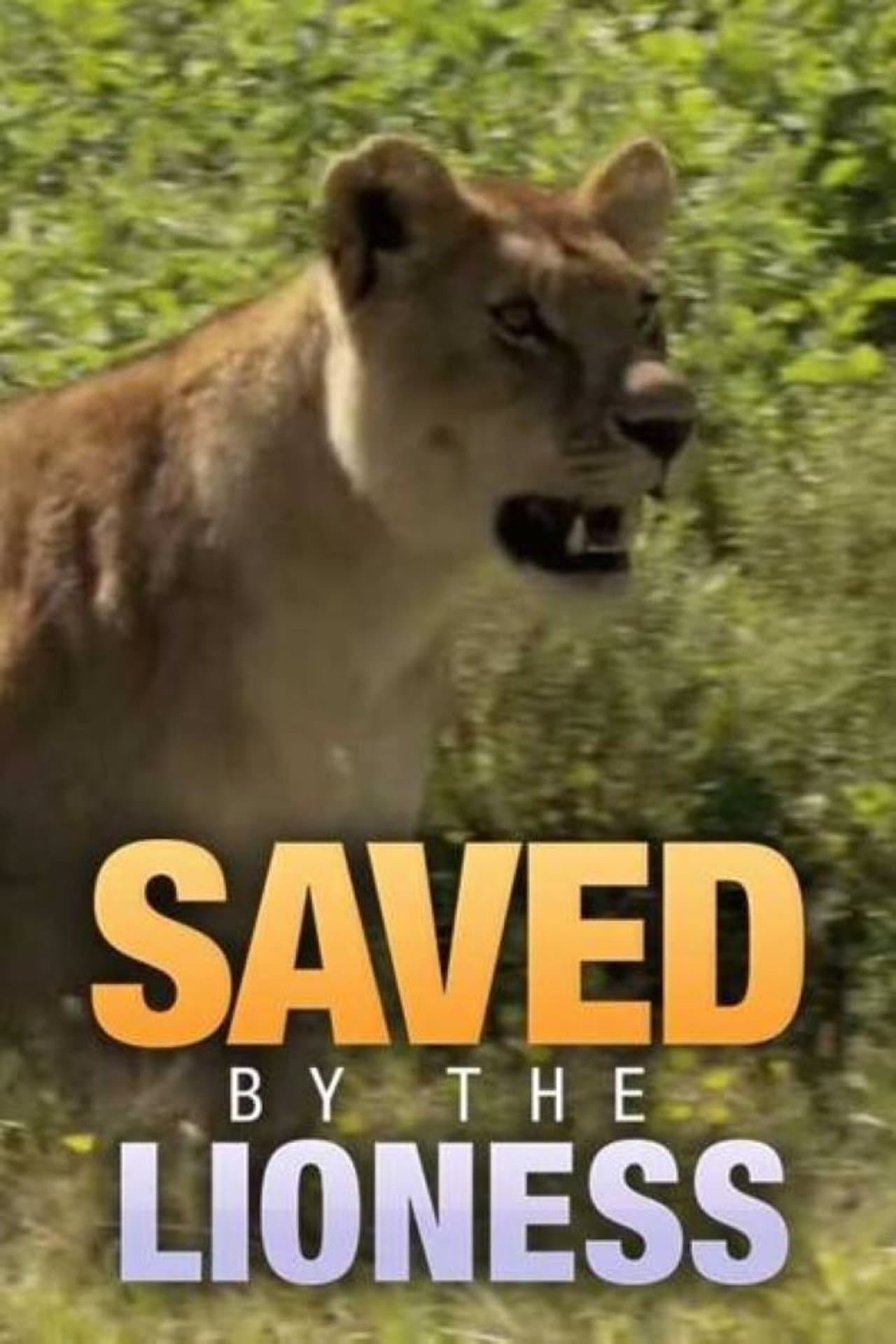 Saved by the Lioness preview 1