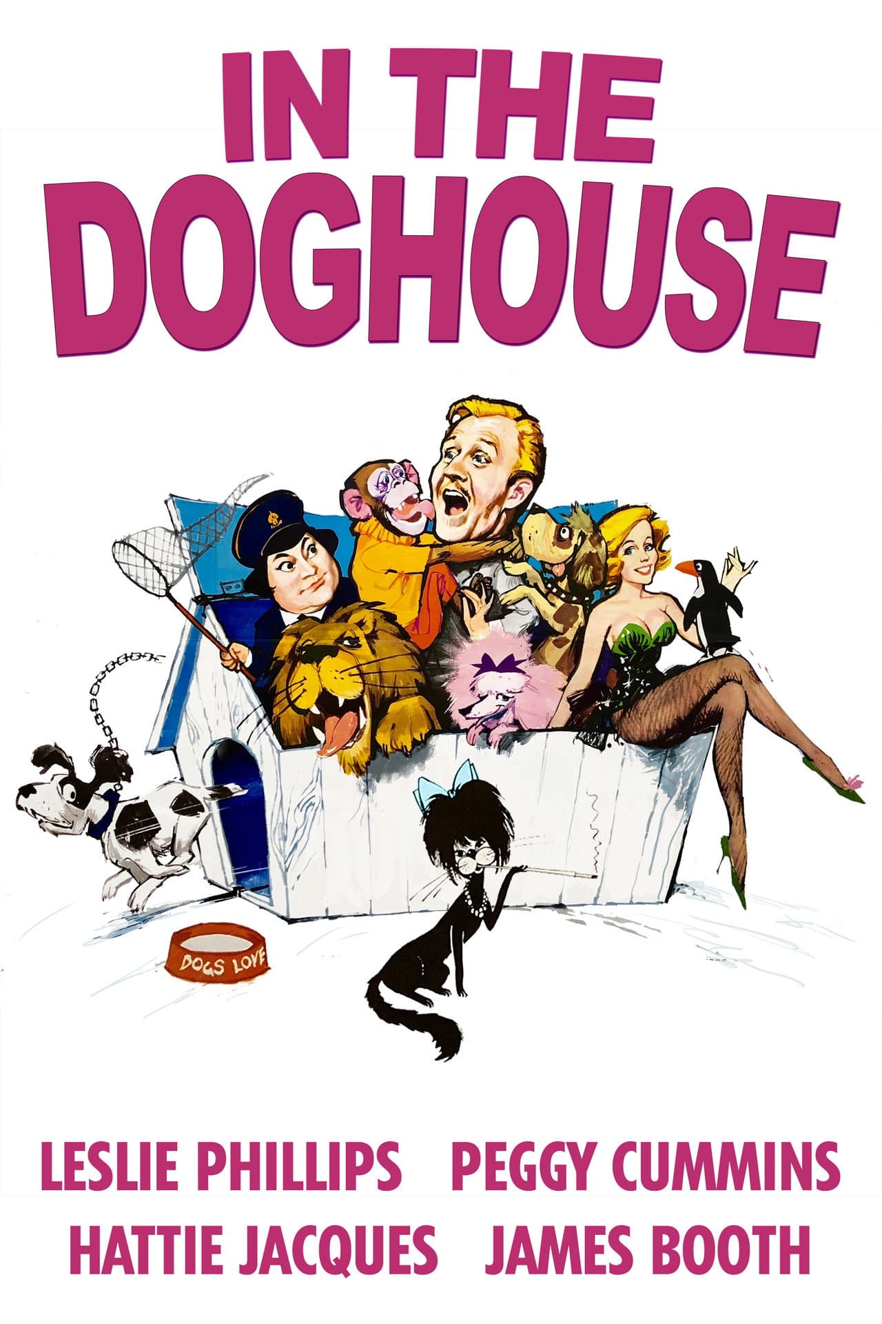 In the Doghouse preview 2