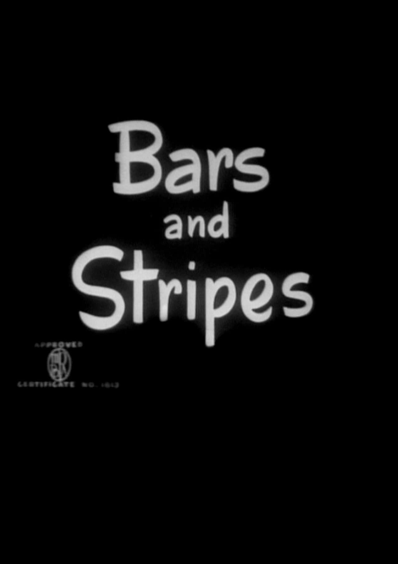 Bars and Stripes preview 1