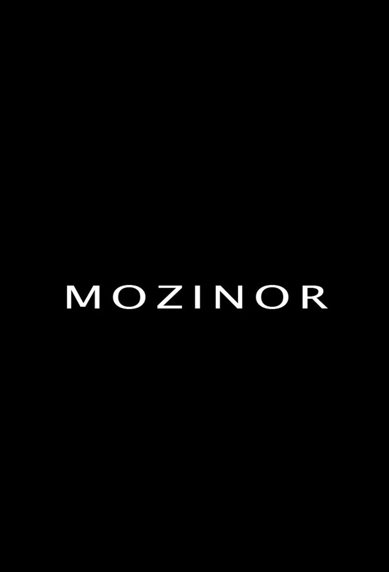 Mozinor preview 1