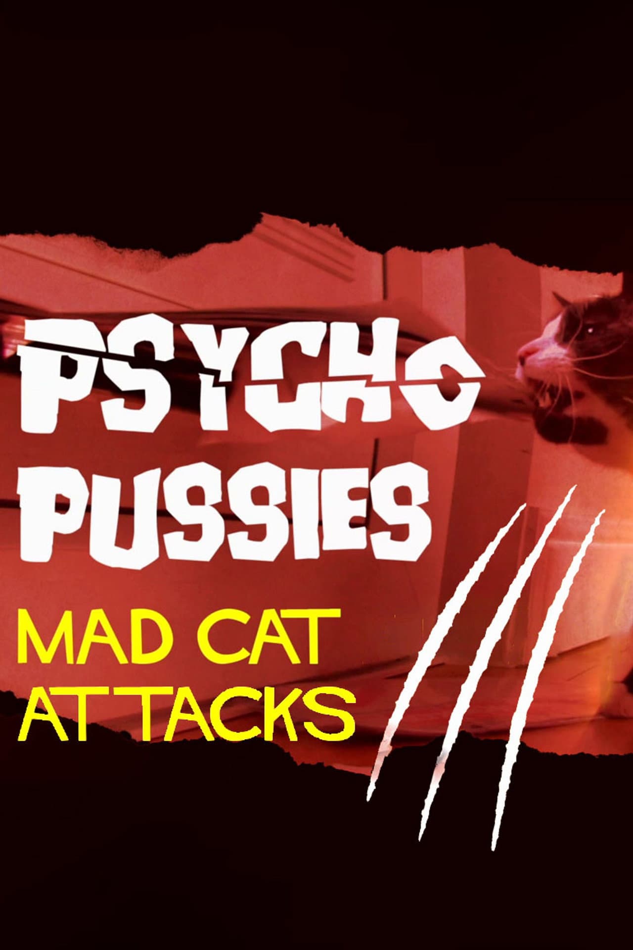 Psycho Pussies: Mad Cat Attacks preview 2