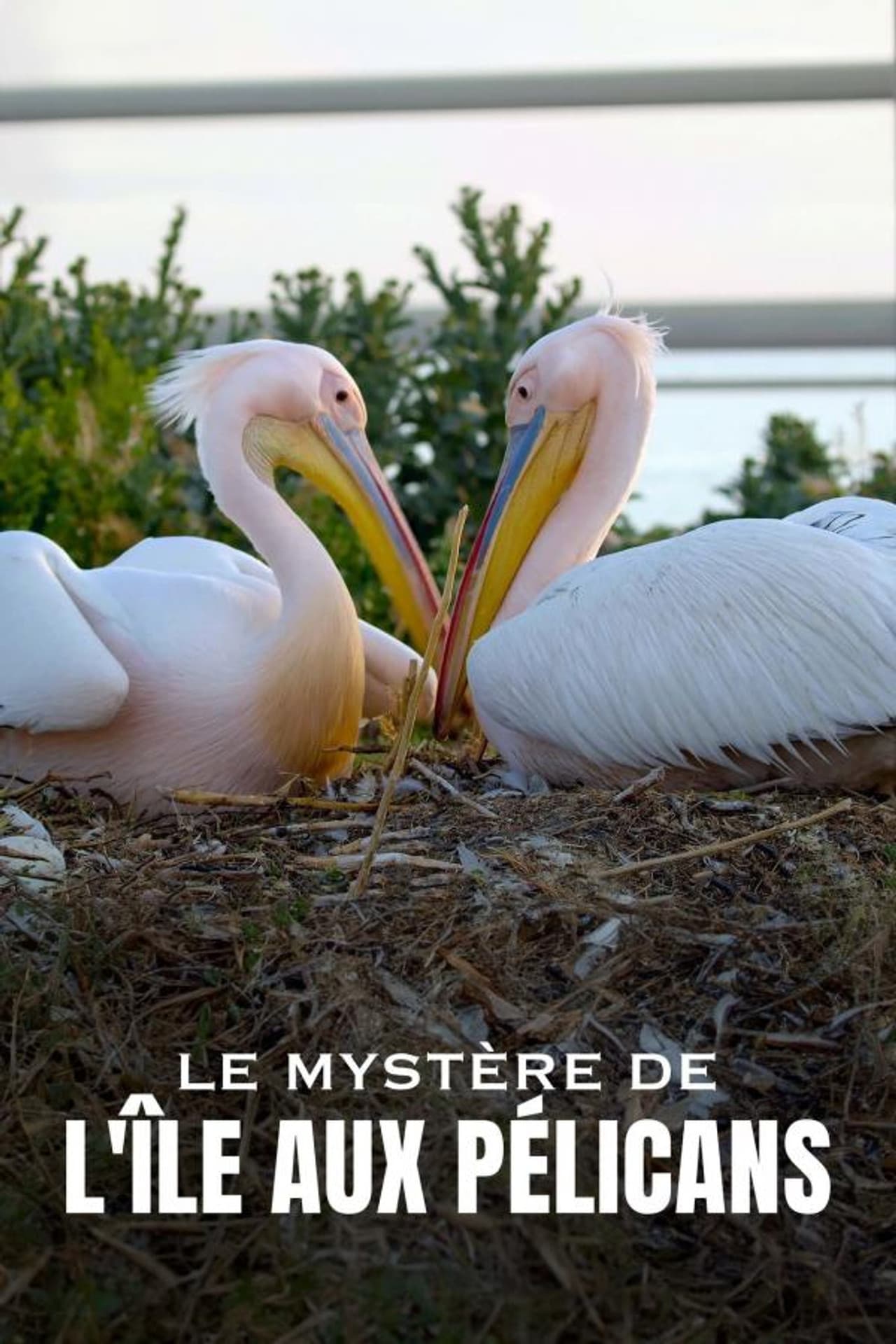 Die Pelikan-Insel - Geheimnis in Russlands Steppe preview 2