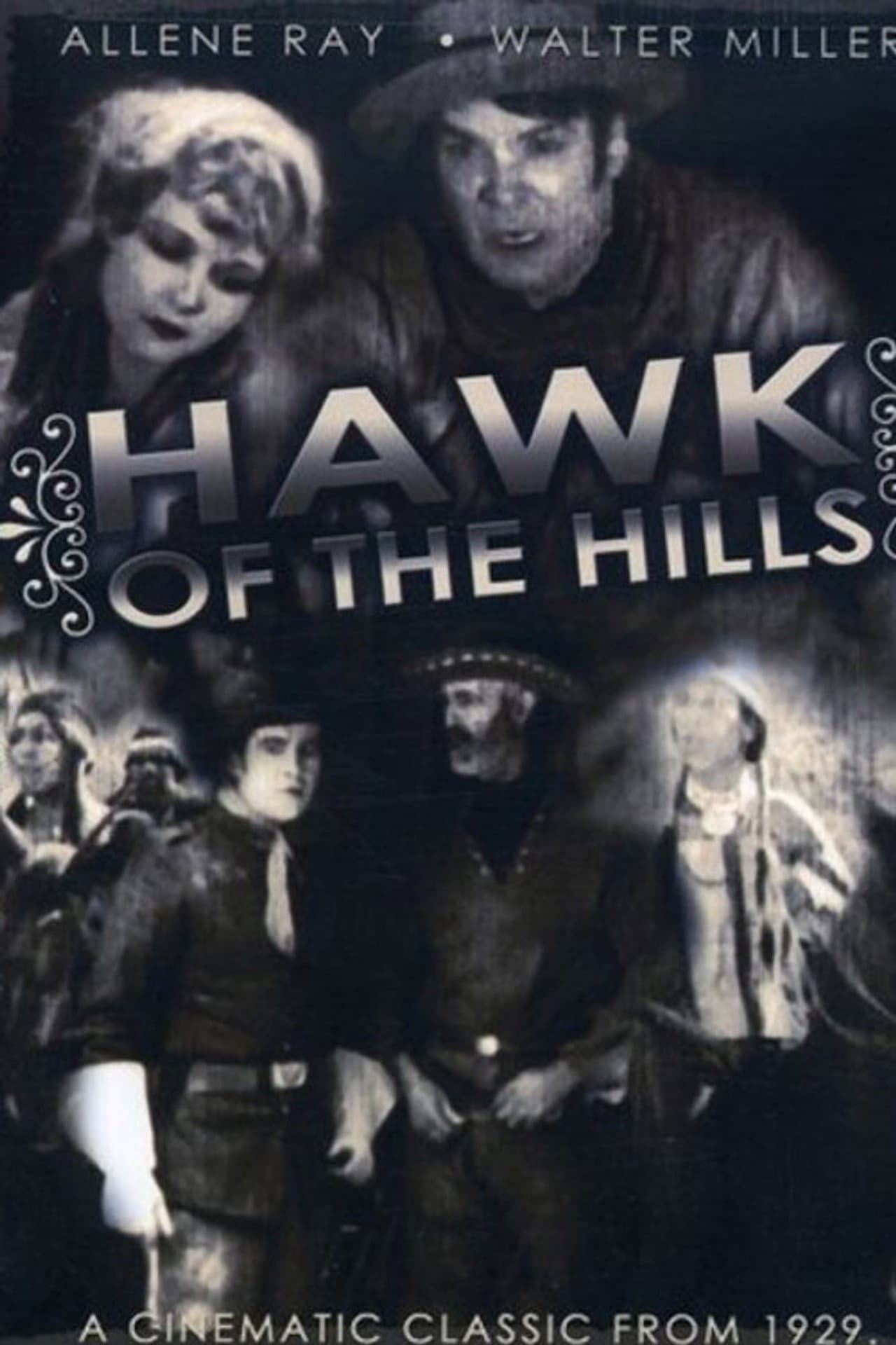 Hawk of the Hills preview 2