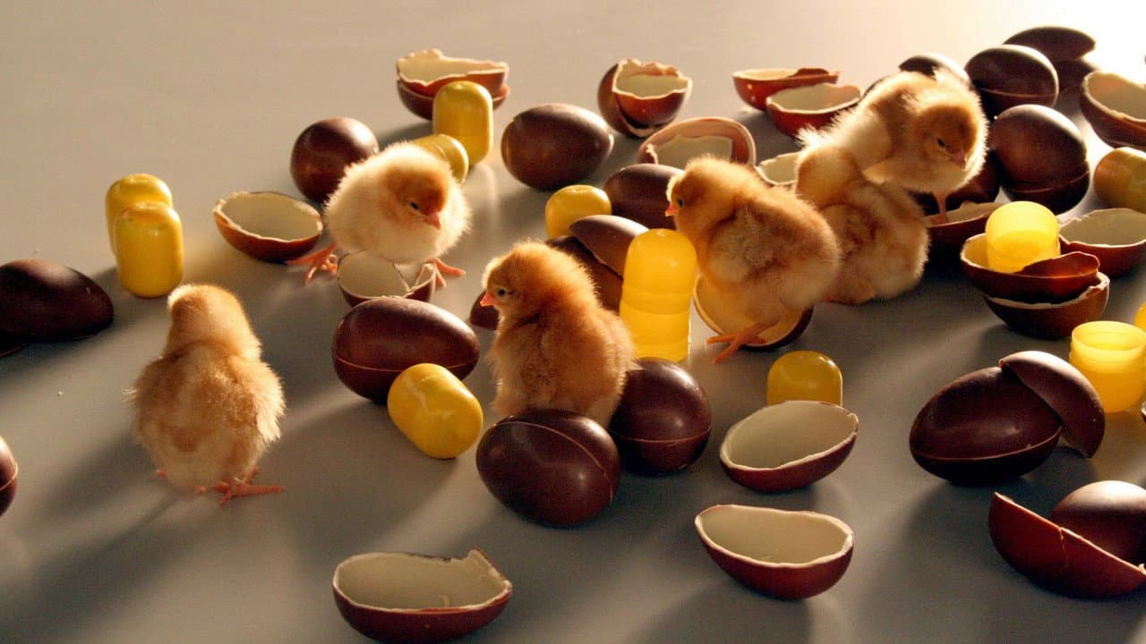 Food Design