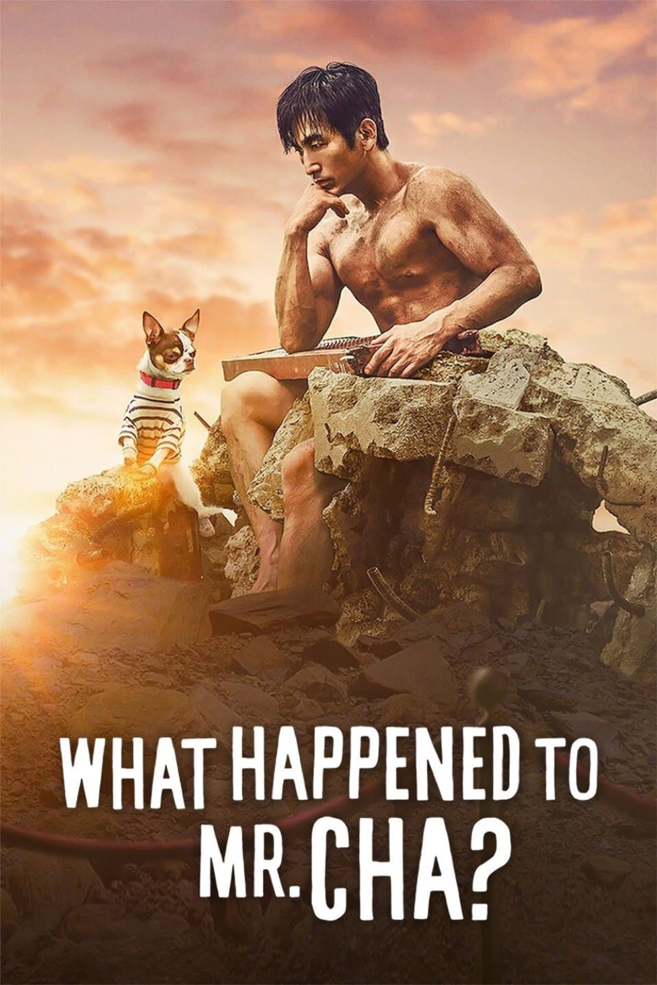 What Happened to Mr. Cha? preview 2