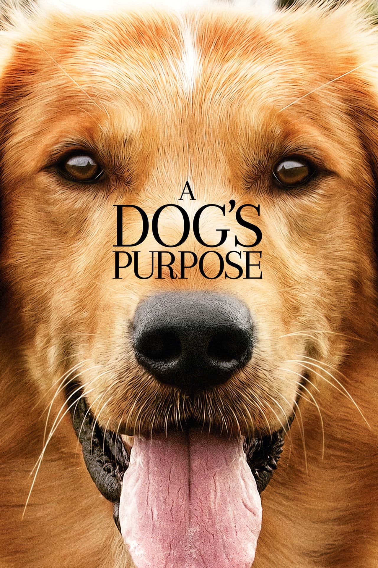 A Dog's Purpose preview 2