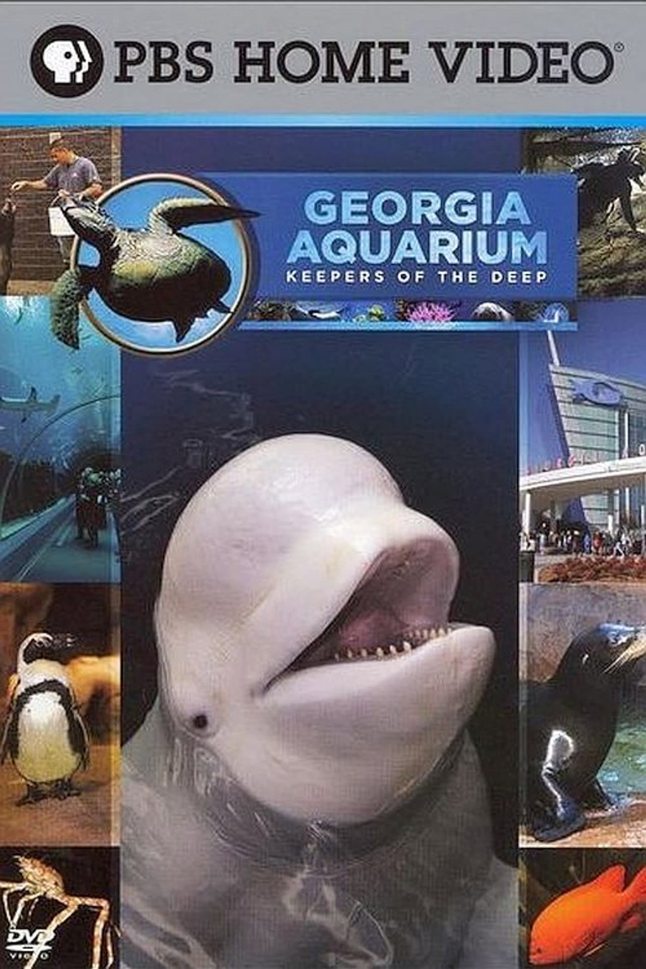 Georgia Aquarium - Keepers of the Deep preview 1