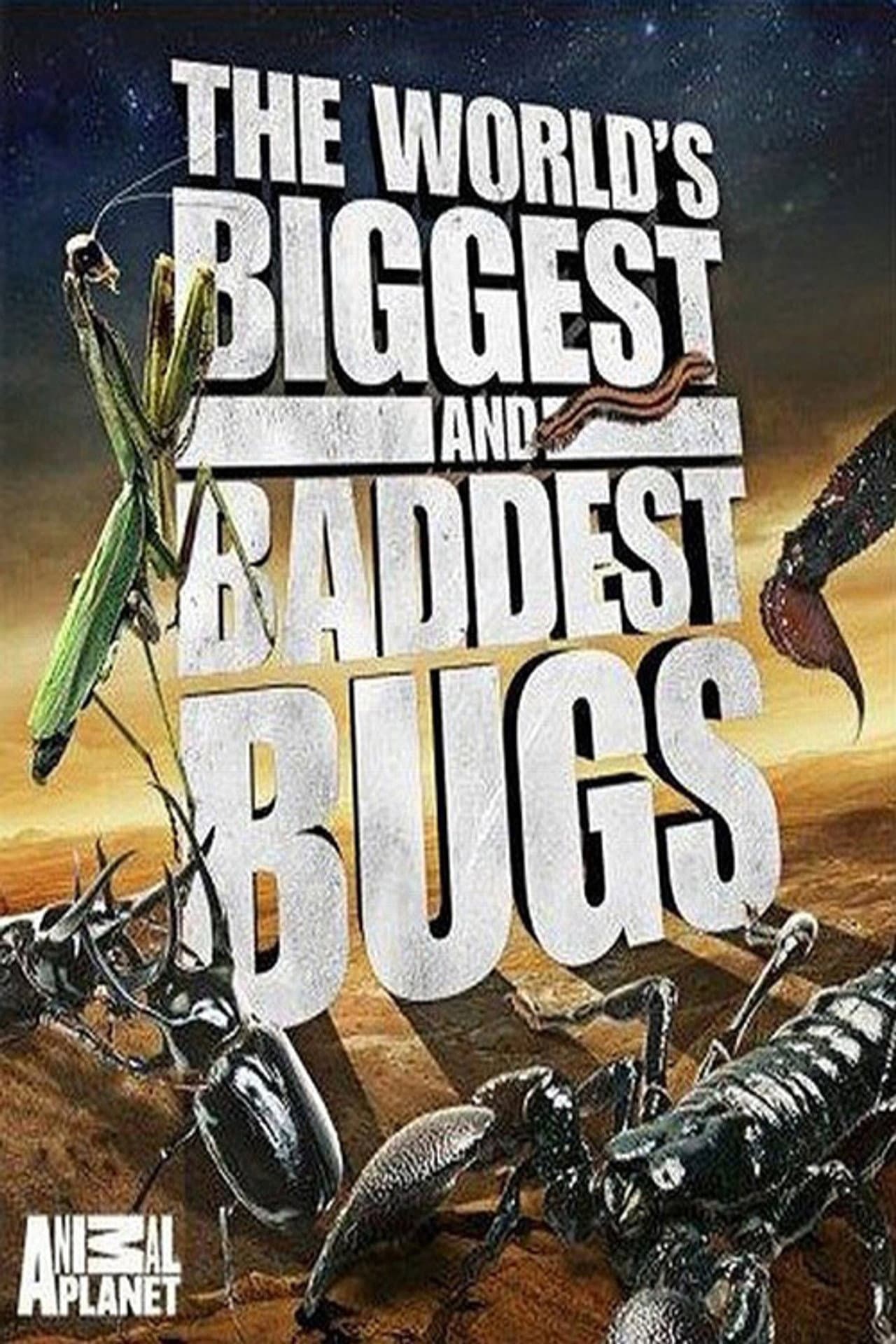 The World's Biggest and Baddest Bugs preview 2