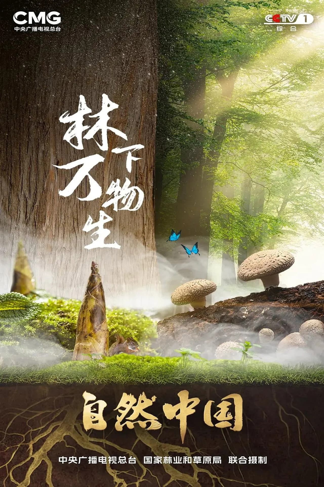 林下万物生 preview 1