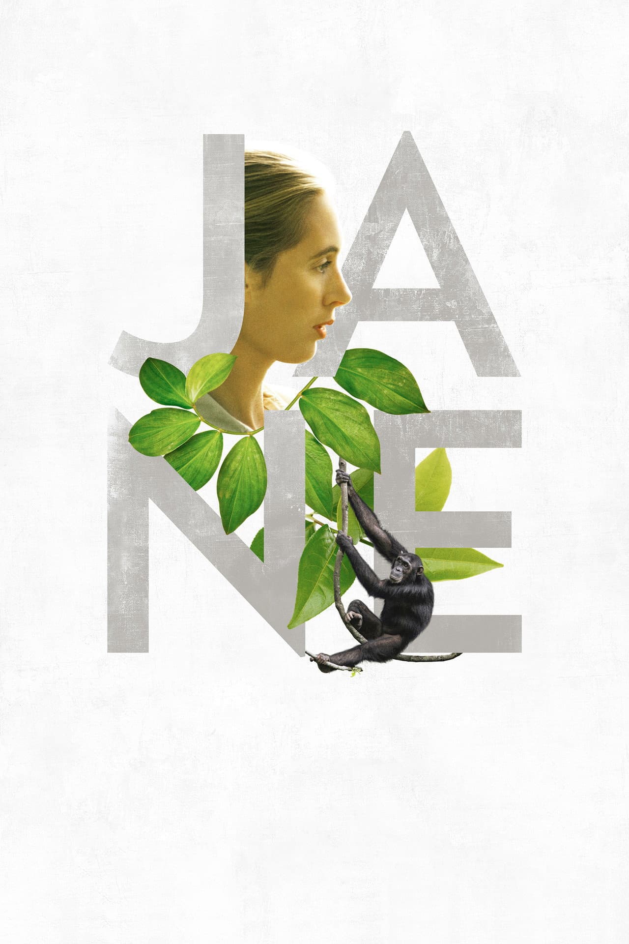 Jane preview 2
