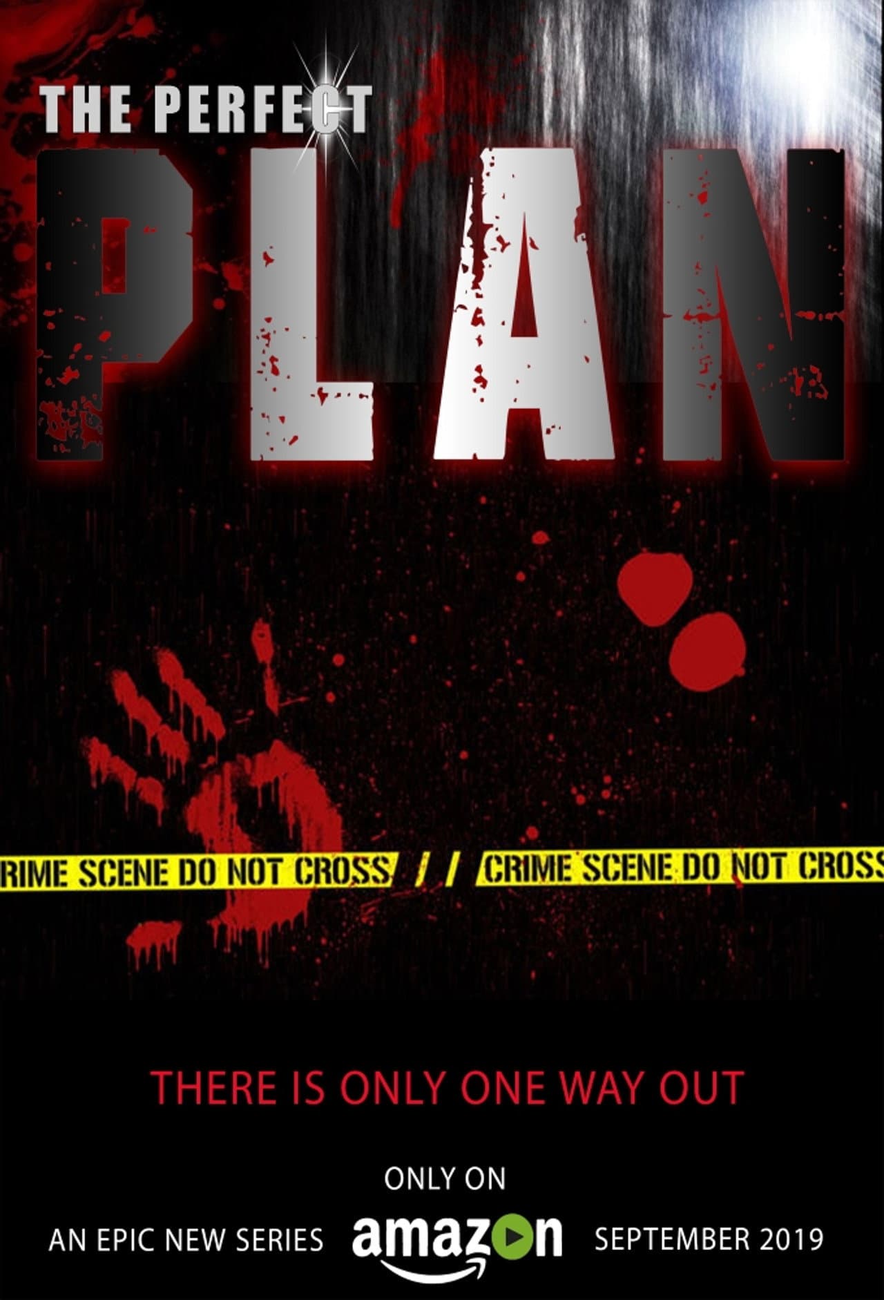 The Perfect Plan preview 2