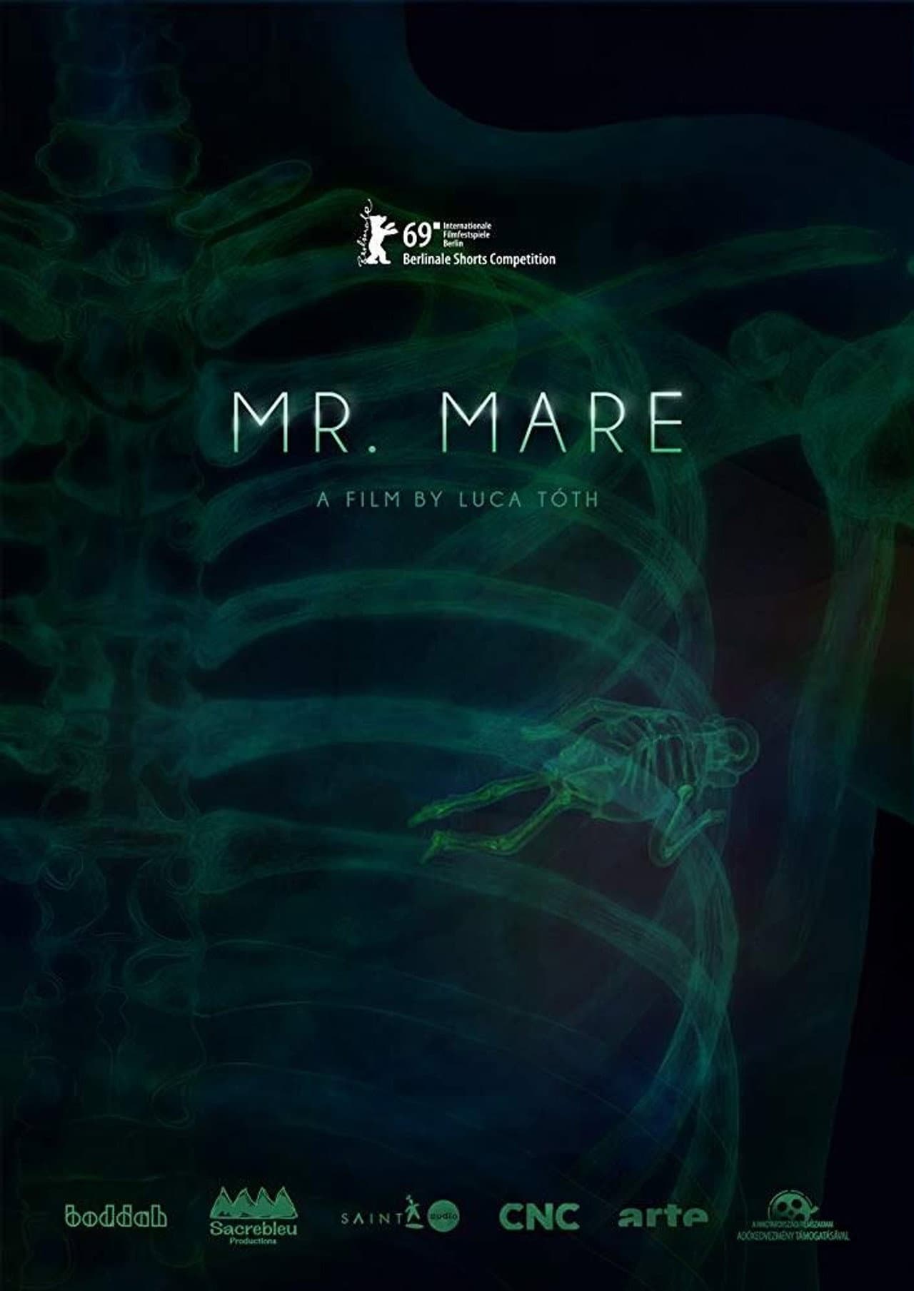 Mr. Mare preview 1