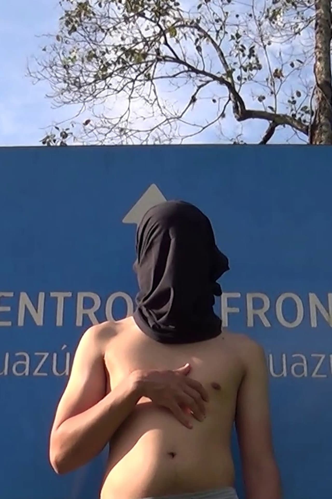 Horny in Border: Essay on AIDS Images preview 2