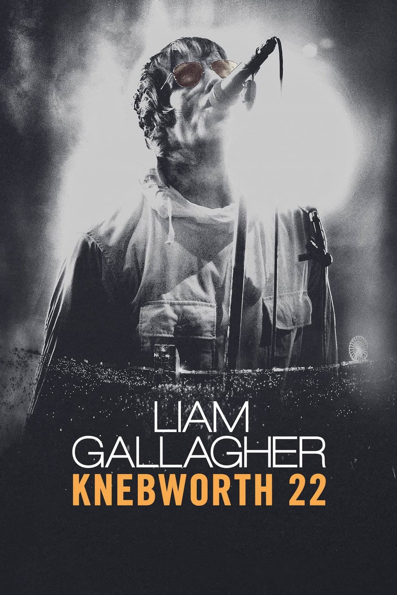 Liam Gallagher: Knebworth 22 preview 2
