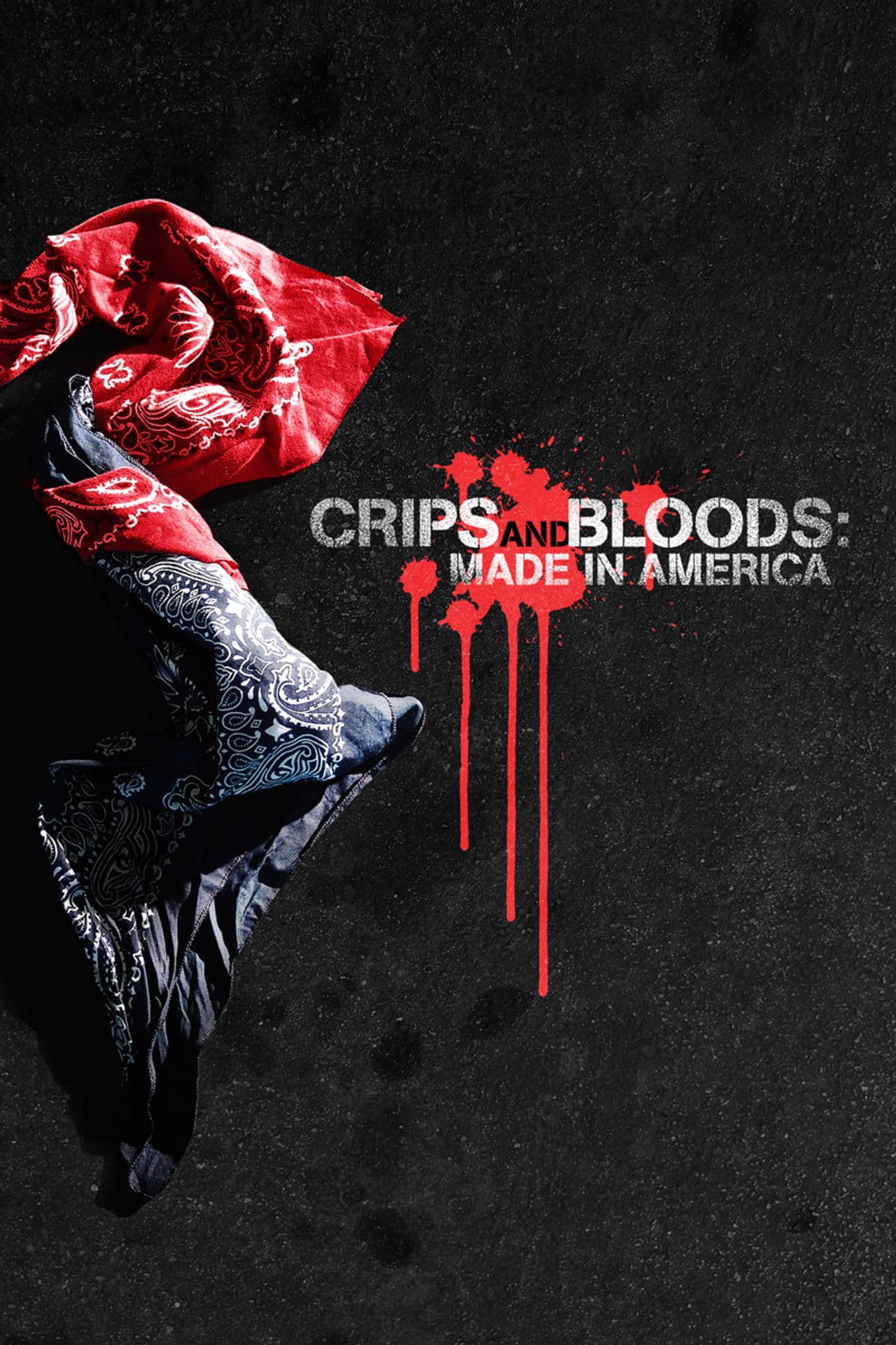 Crips and Bloods: Made in America preview 2