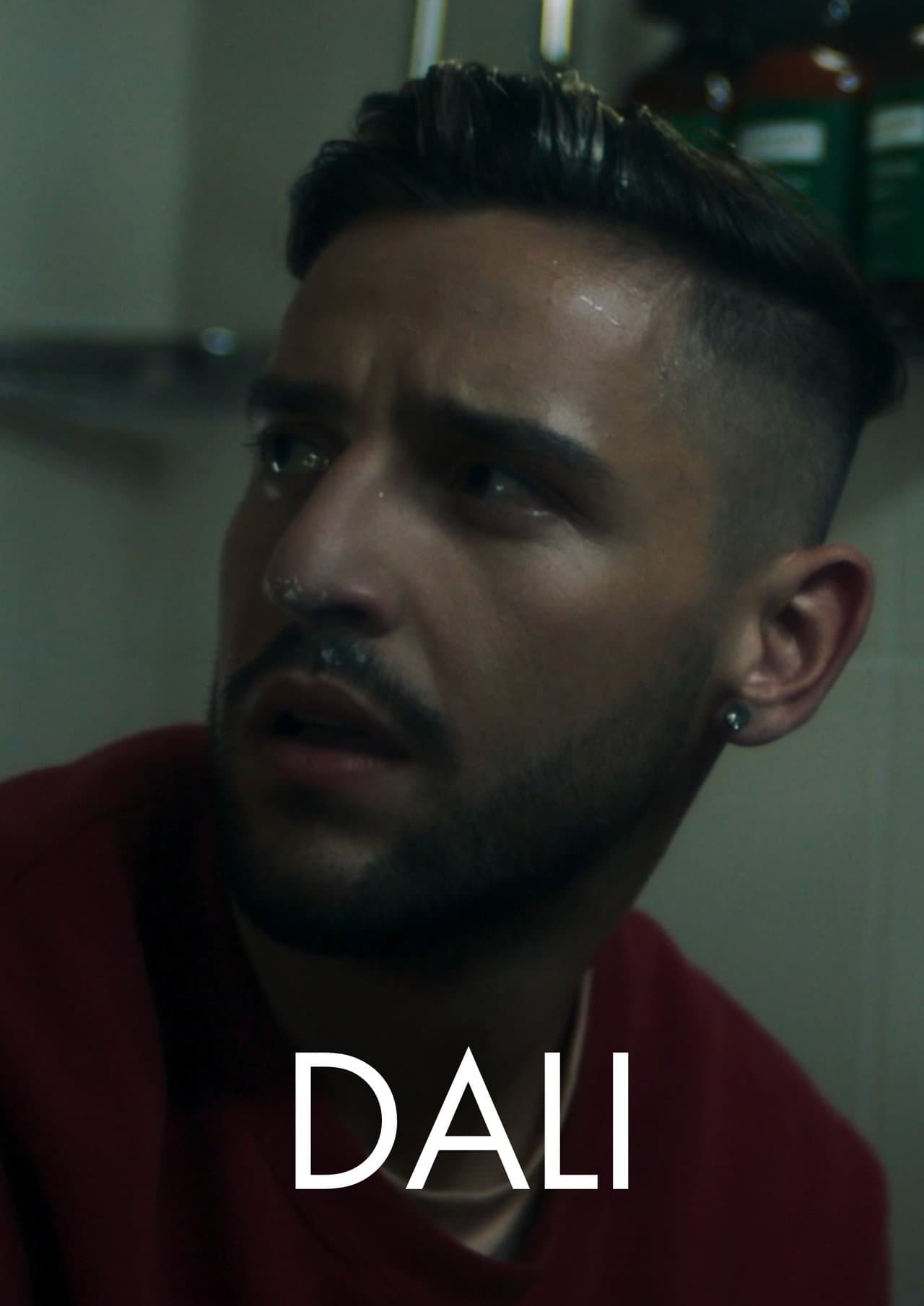 Dali preview 1
