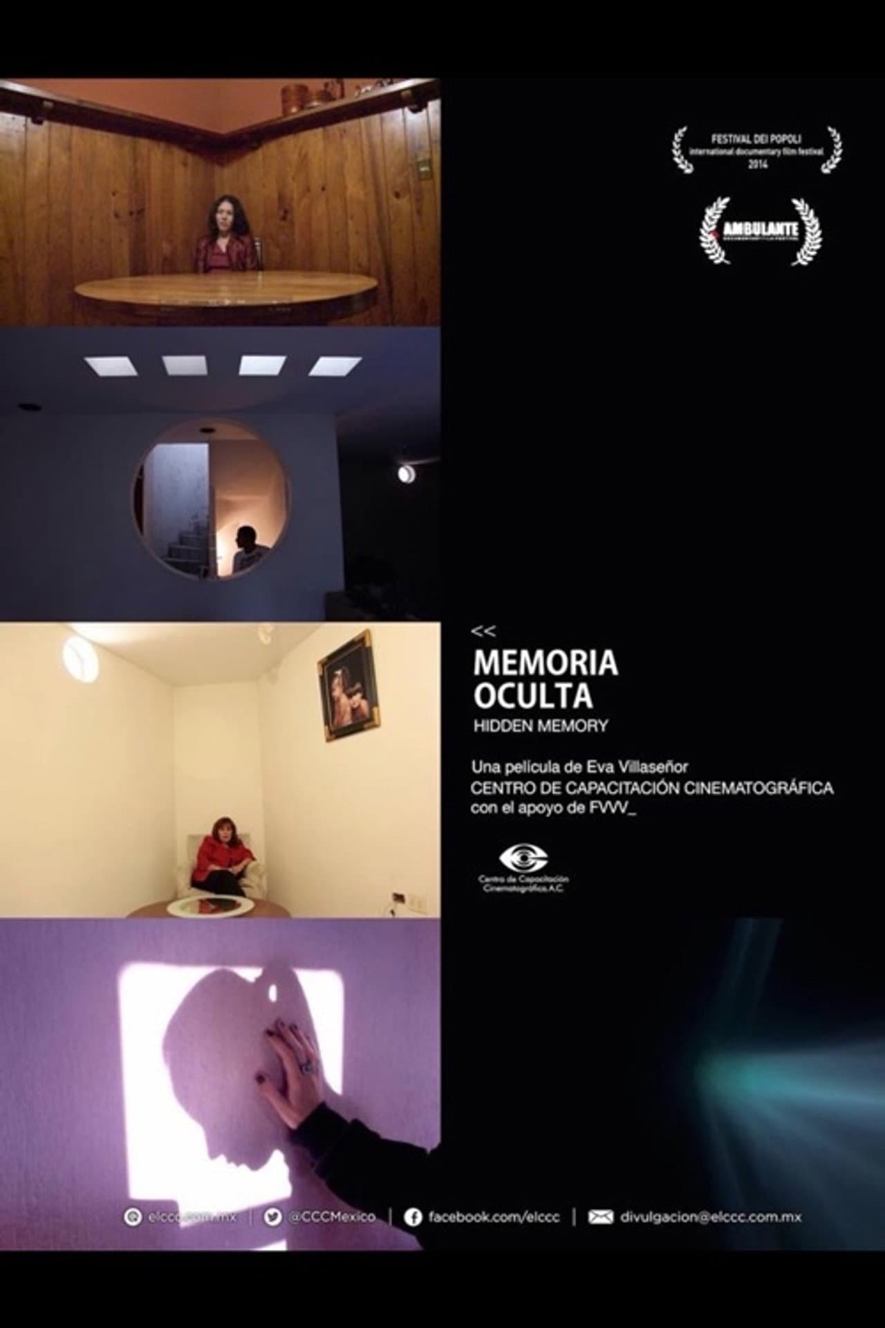 Hidden Memory preview 1