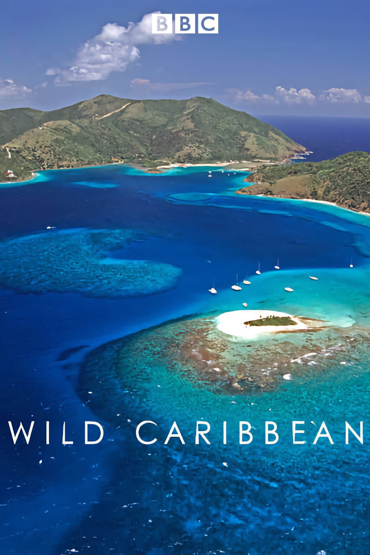 Wild Caribbean preview 2