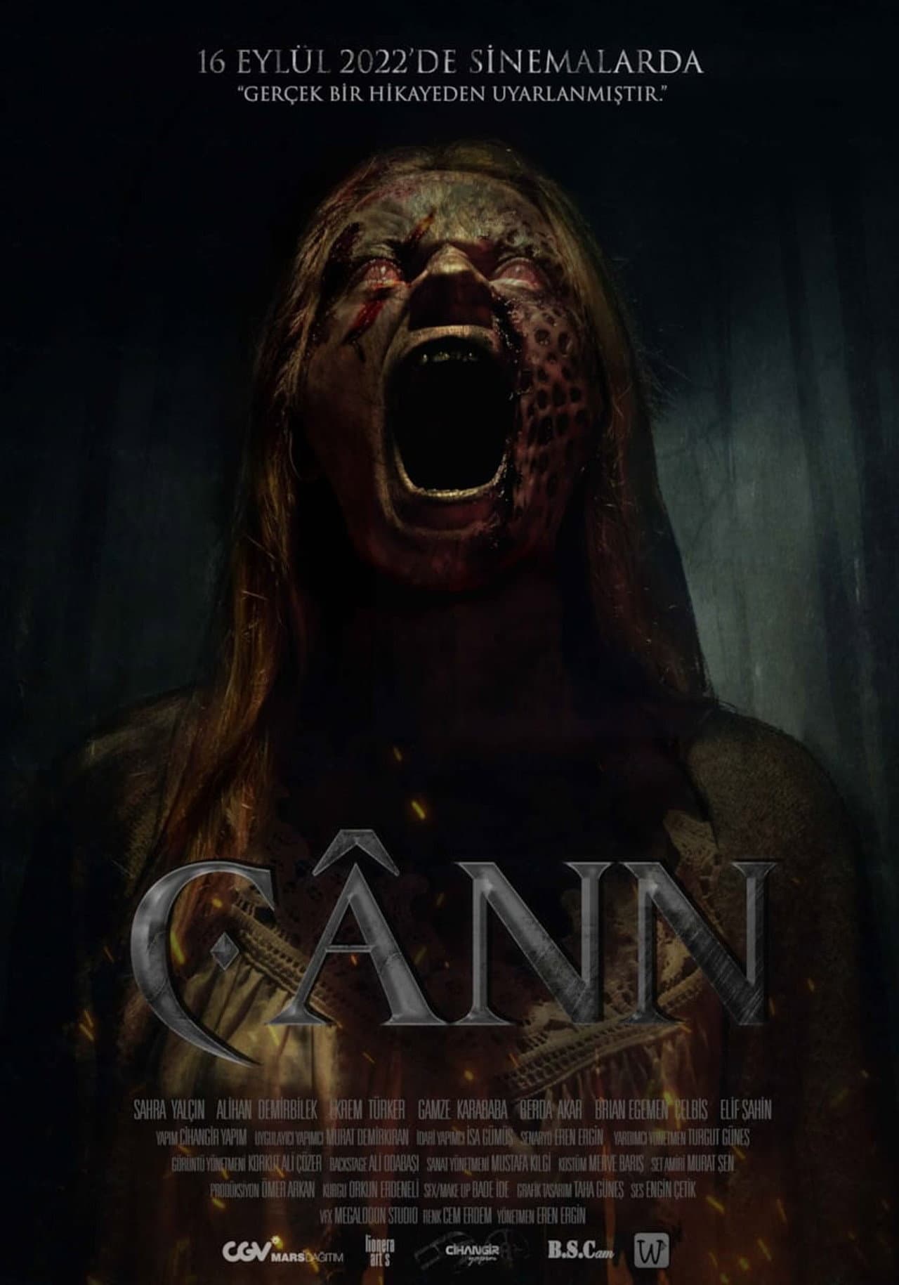 Cânn preview 2