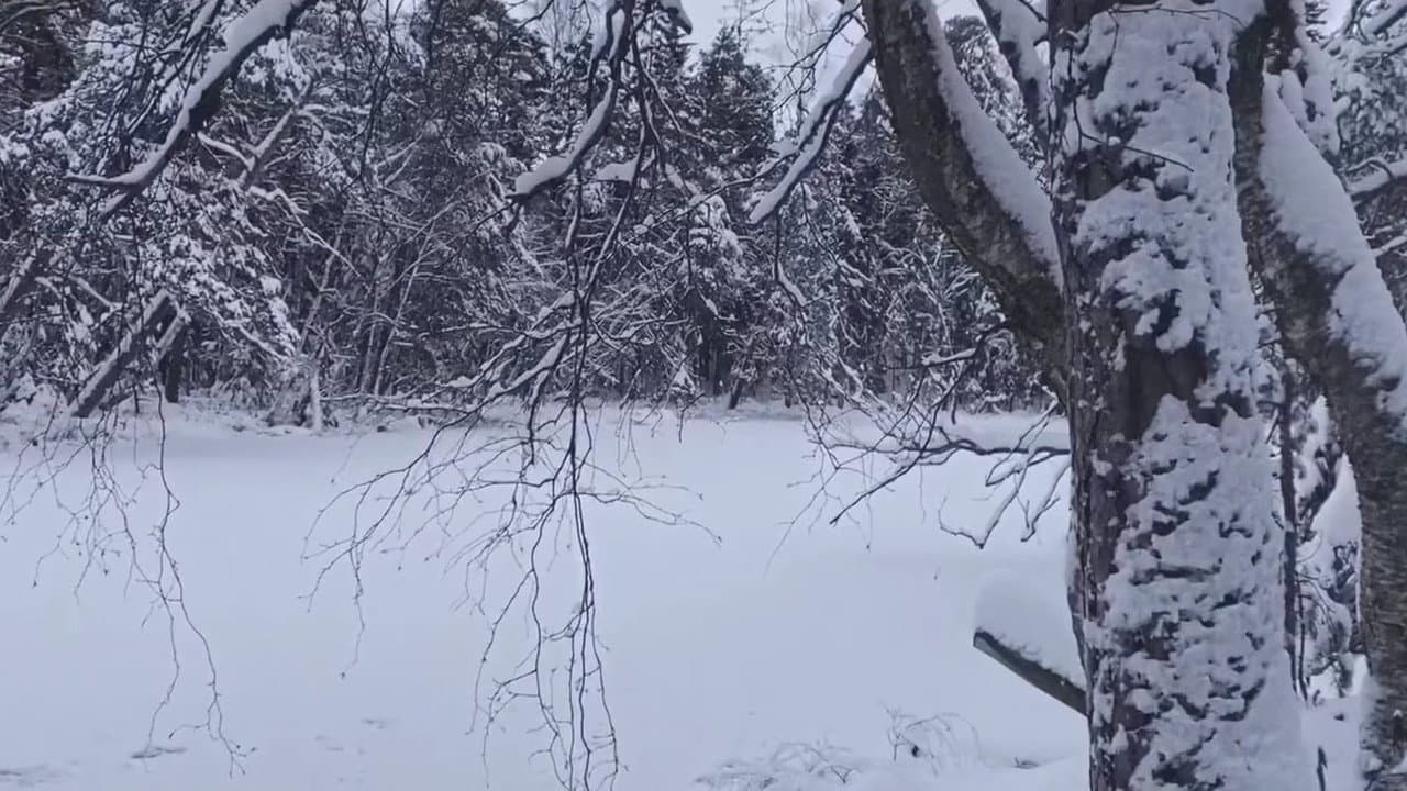 La Féerie Winter