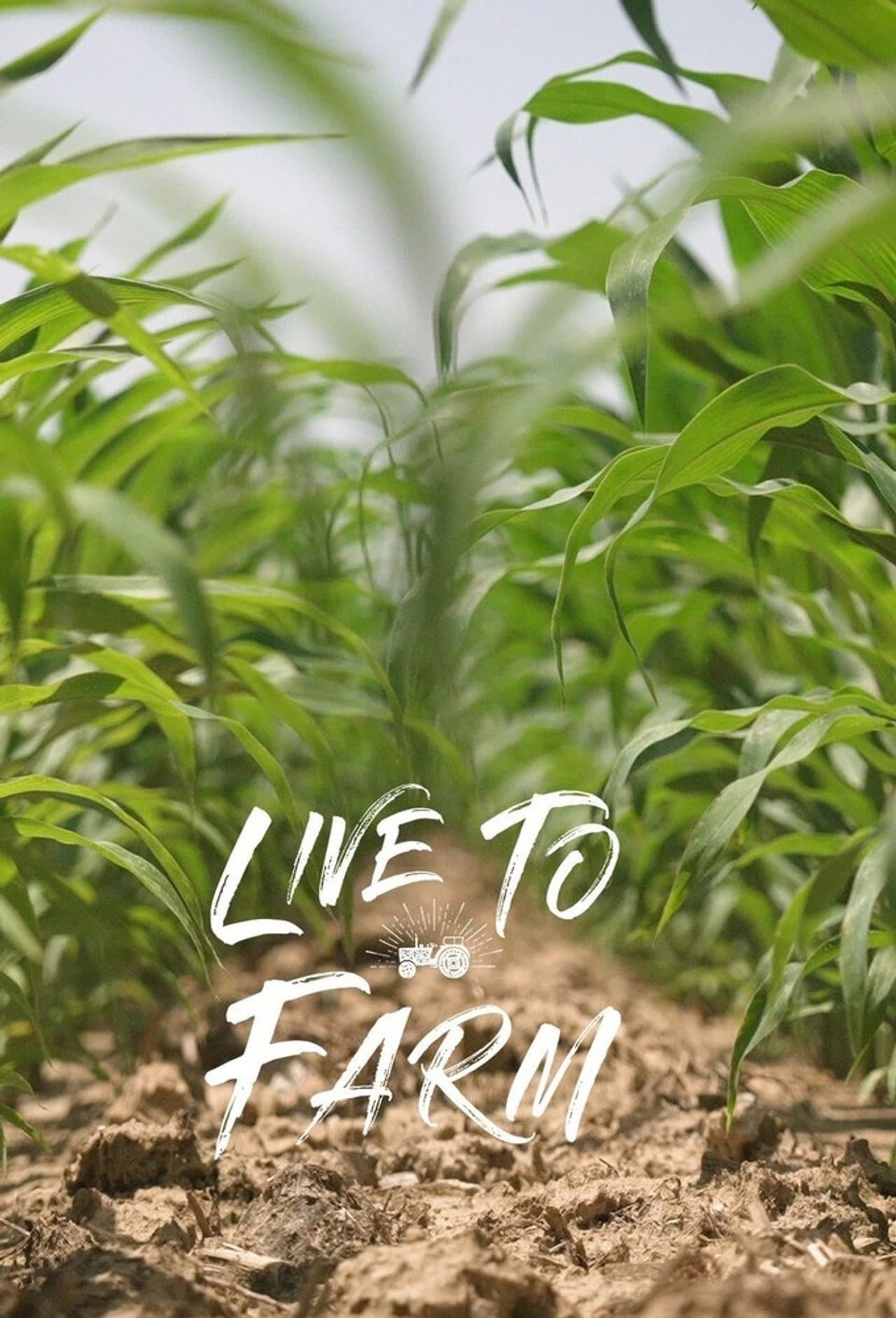 Live To Farm preview 2