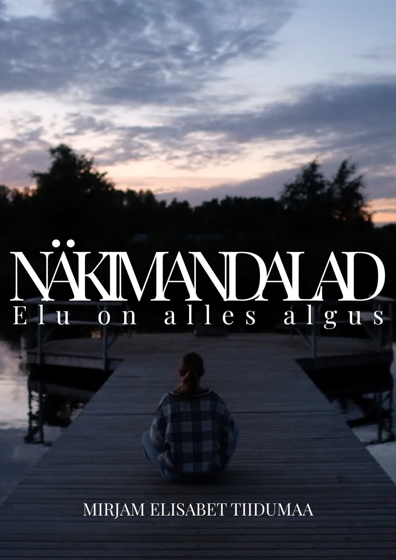 Nixieland preview 2