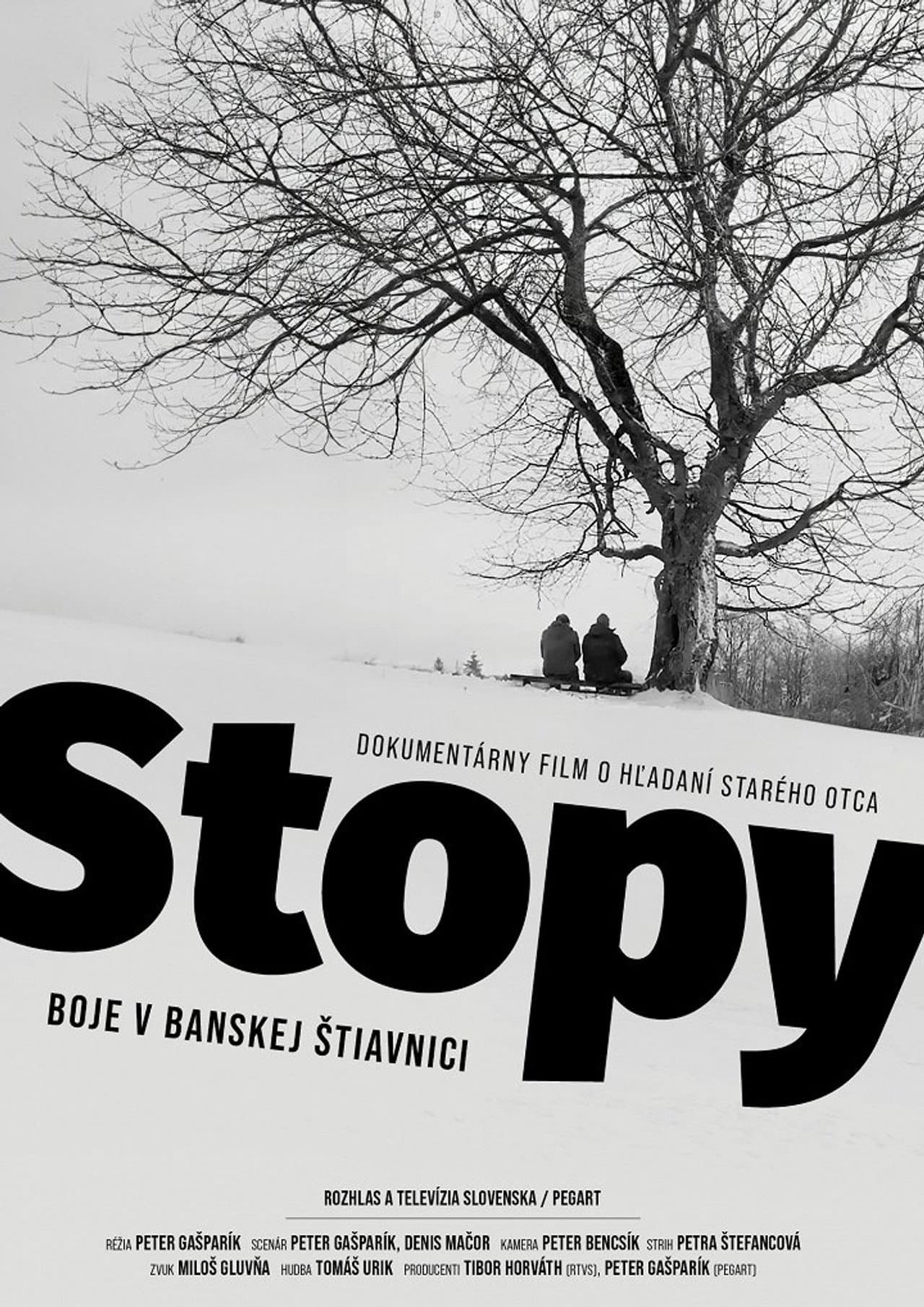 Footprints: Fighting in Banská Štiavnica preview 1