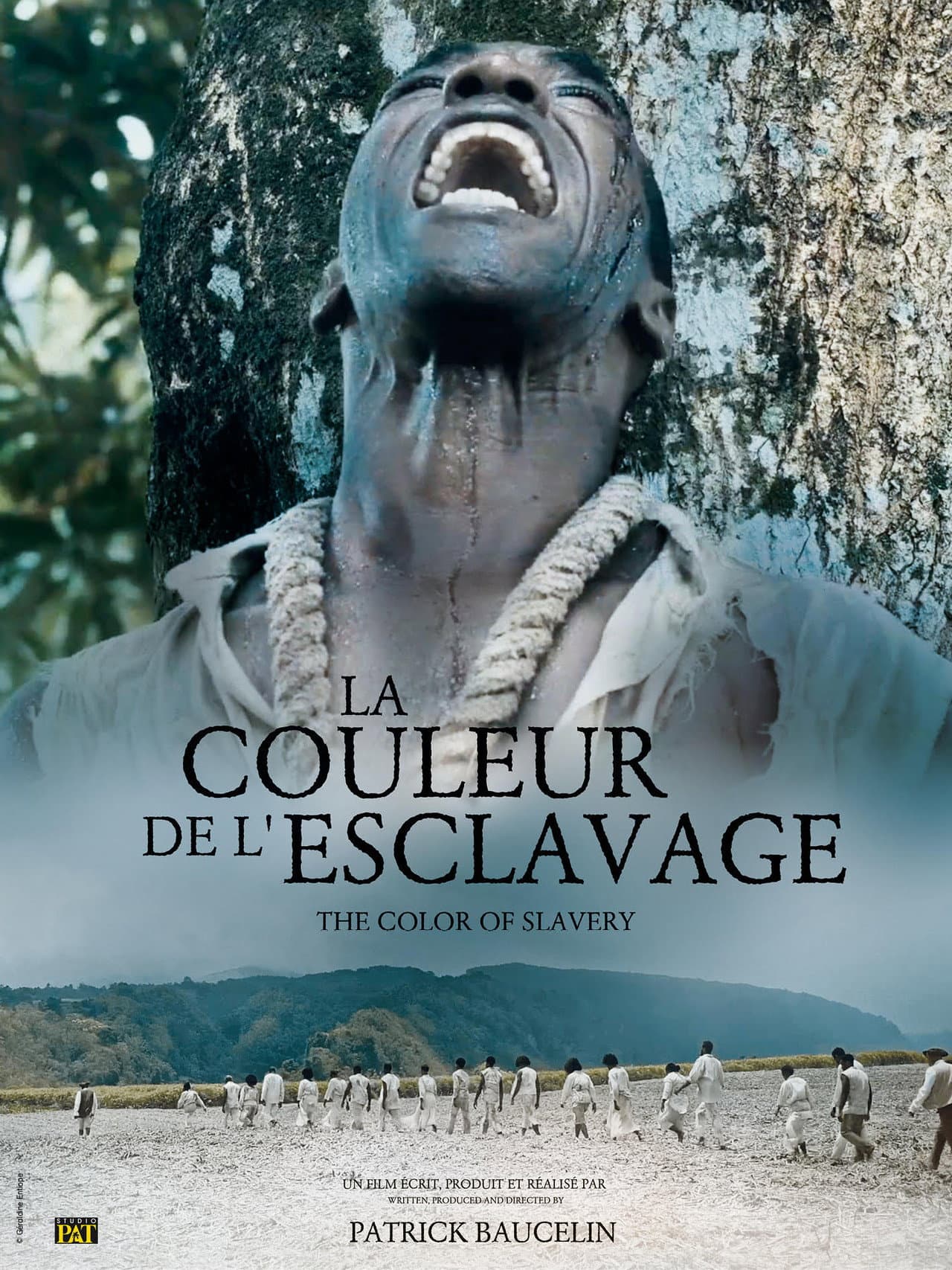 La Couleur de l'esclavage preview 1