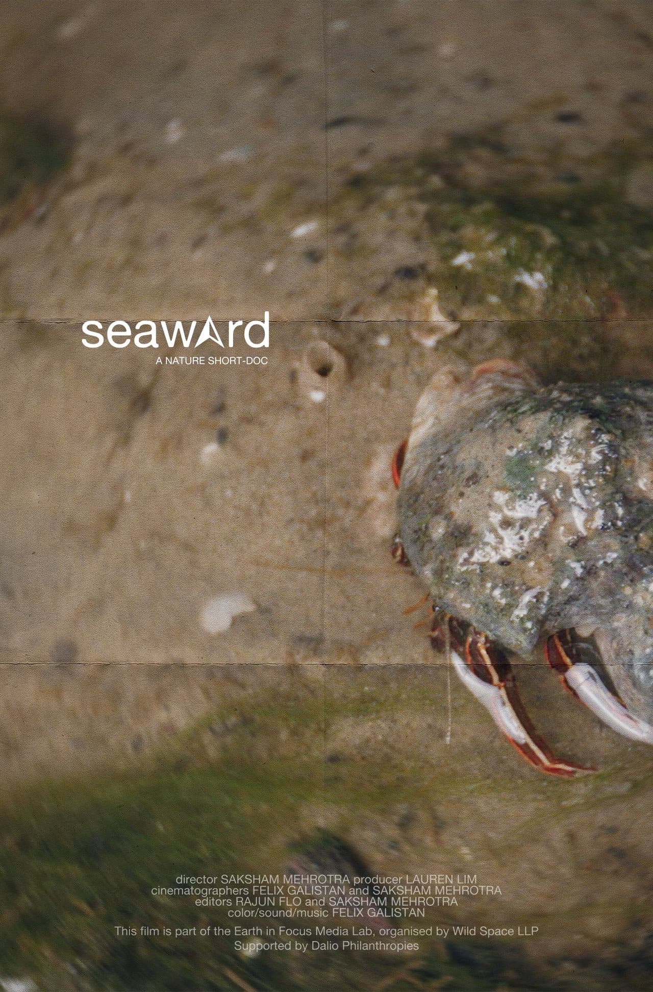 seaward preview 2