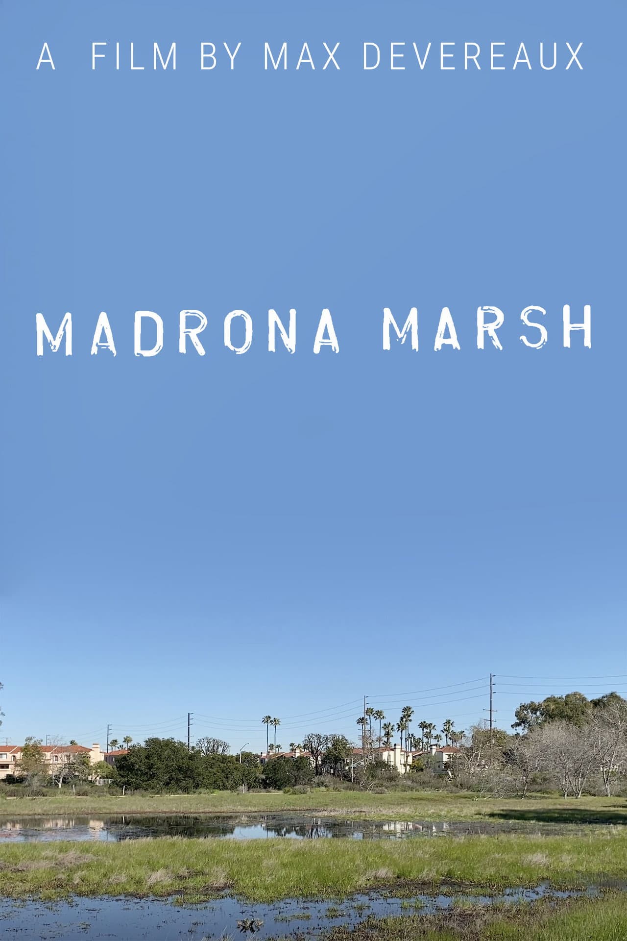 Madrona Marsh preview 2