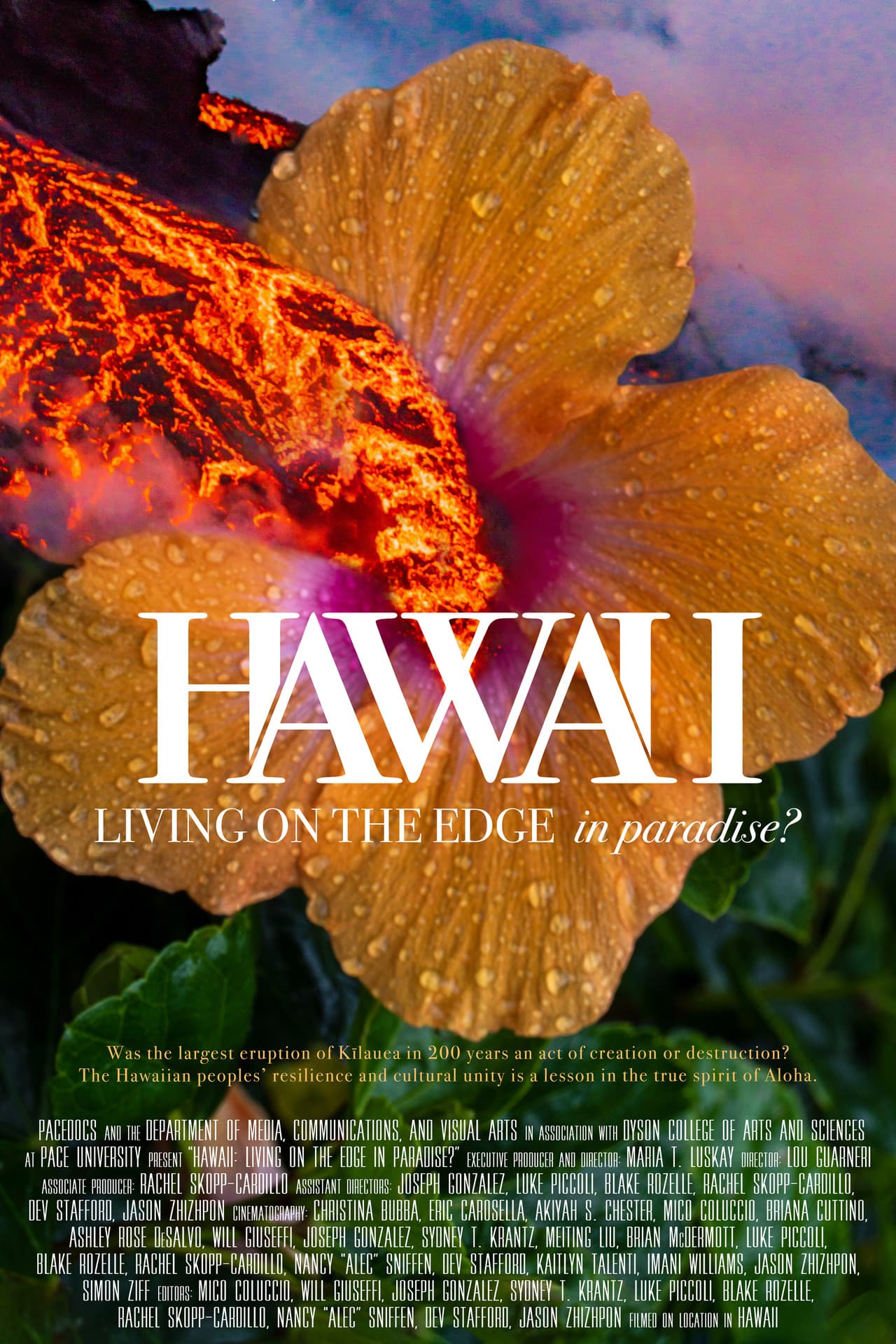 Hawaii: Living on the Edge in Paradise? preview 1