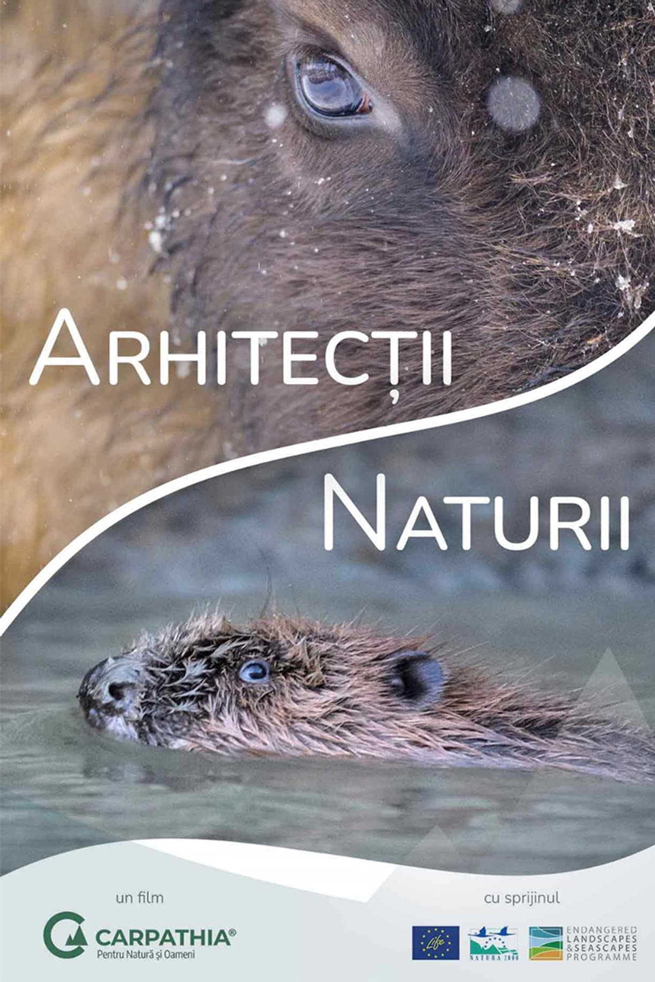Nature's Architects preview 2