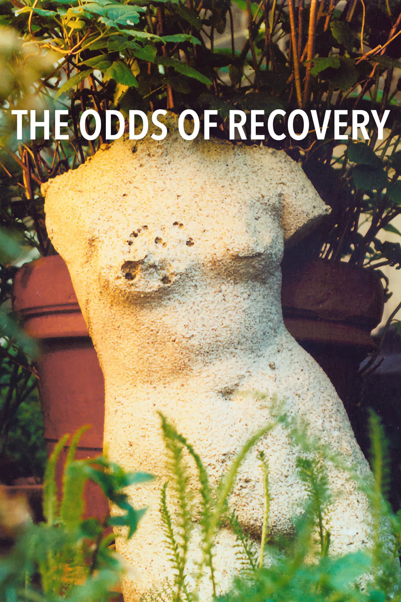 The Odds of Recovery preview 2