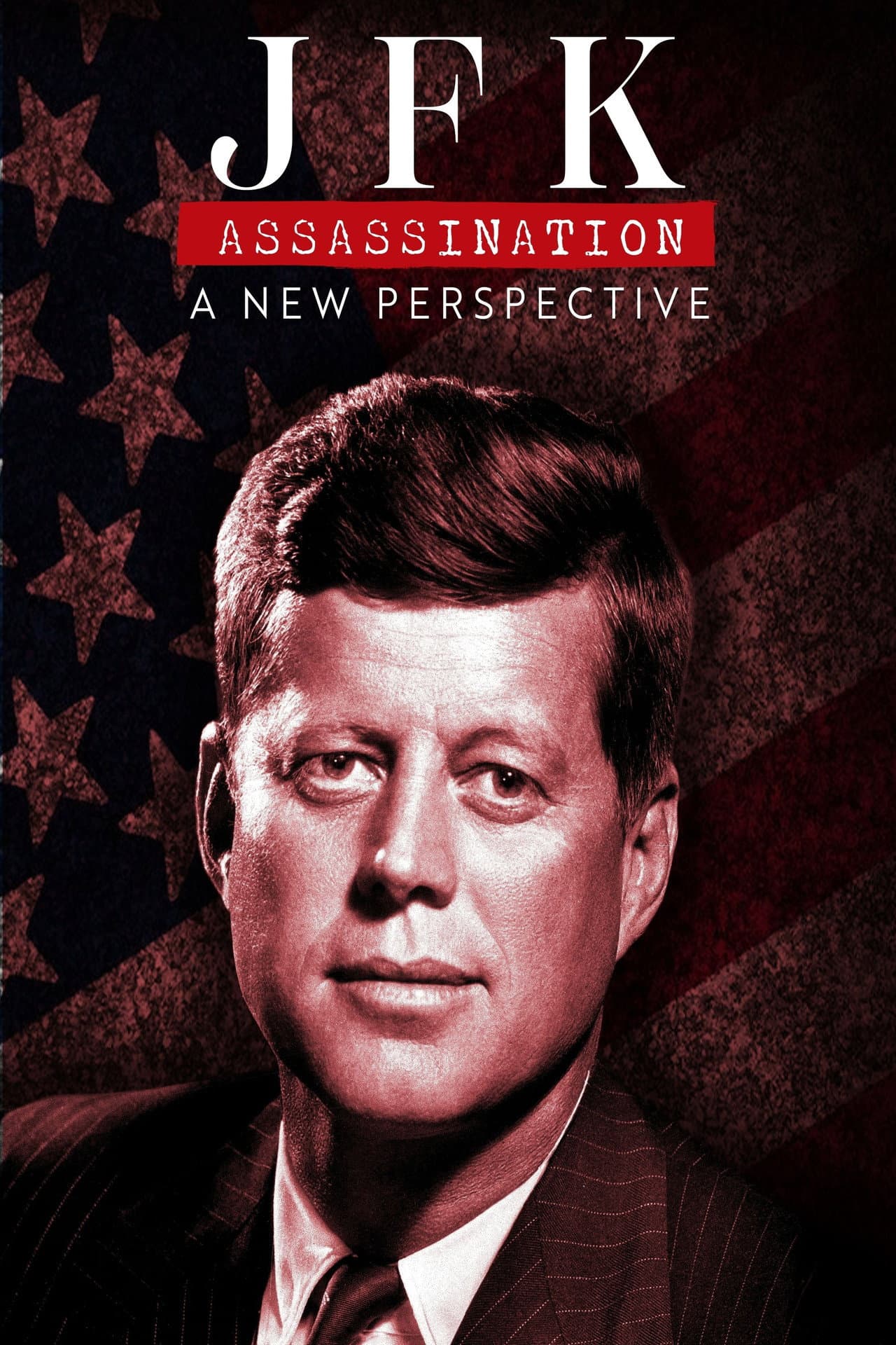 JFK Assassination: A New Perspective preview 2