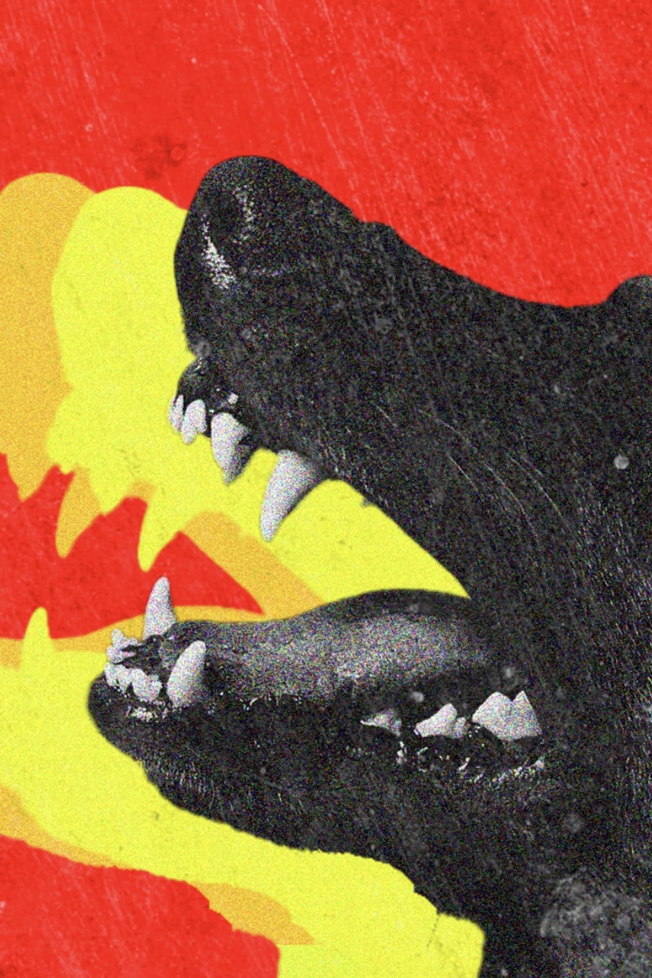 DOGTOOTH preview 1