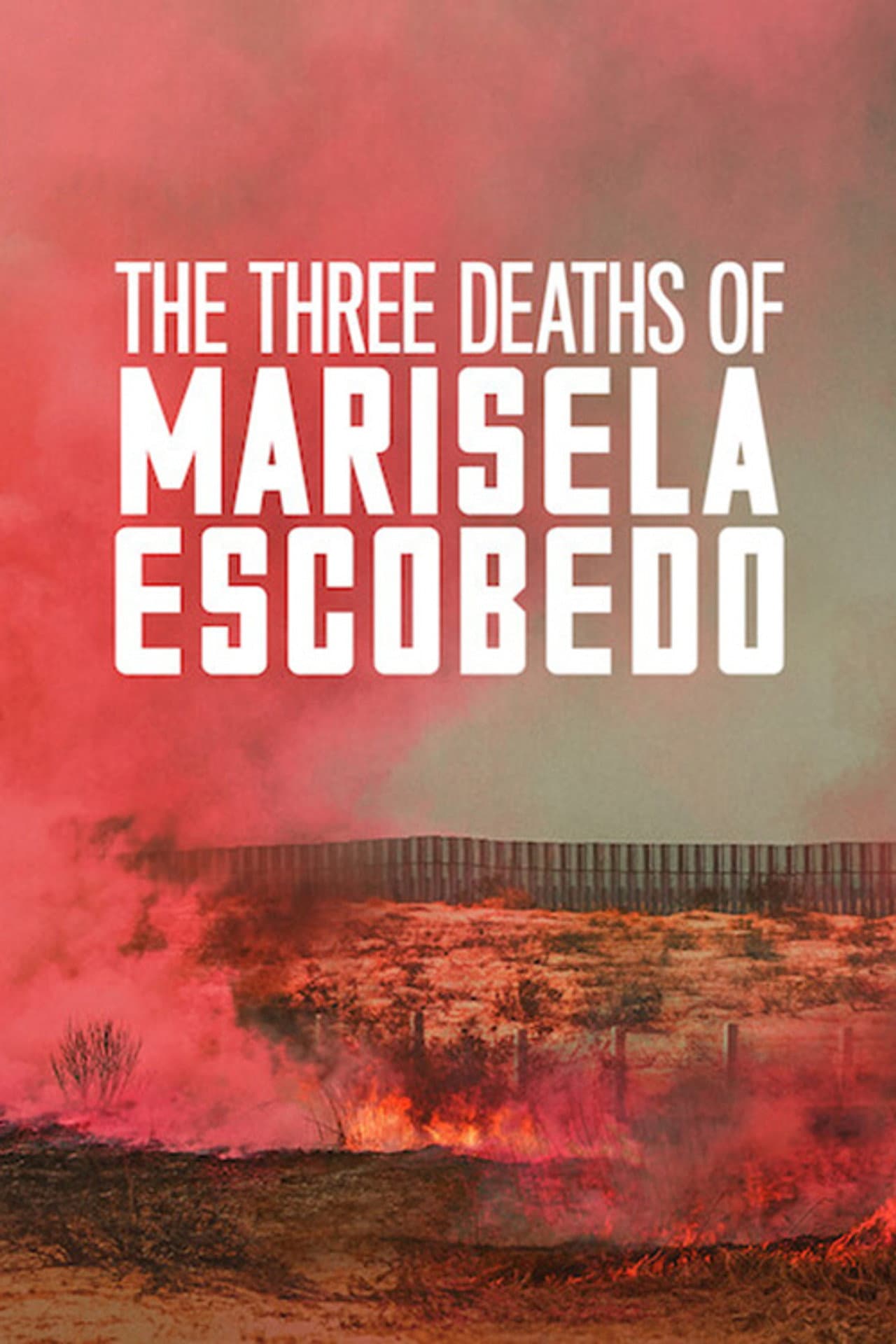 The Three Deaths of Marisela Escobedo preview 2