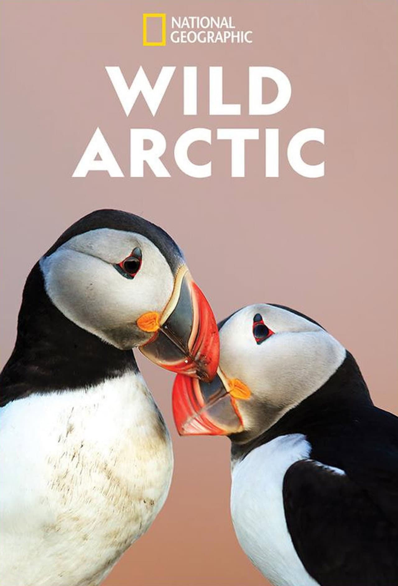 Wild Arctic preview 2