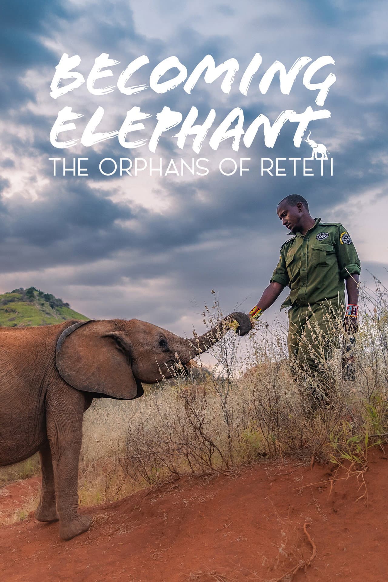 Becoming Elephant: The Orphans Of Reteti preview 2