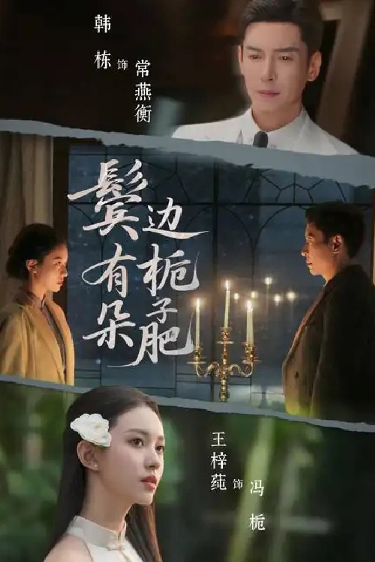鬓边有朵栀子肥 preview 1