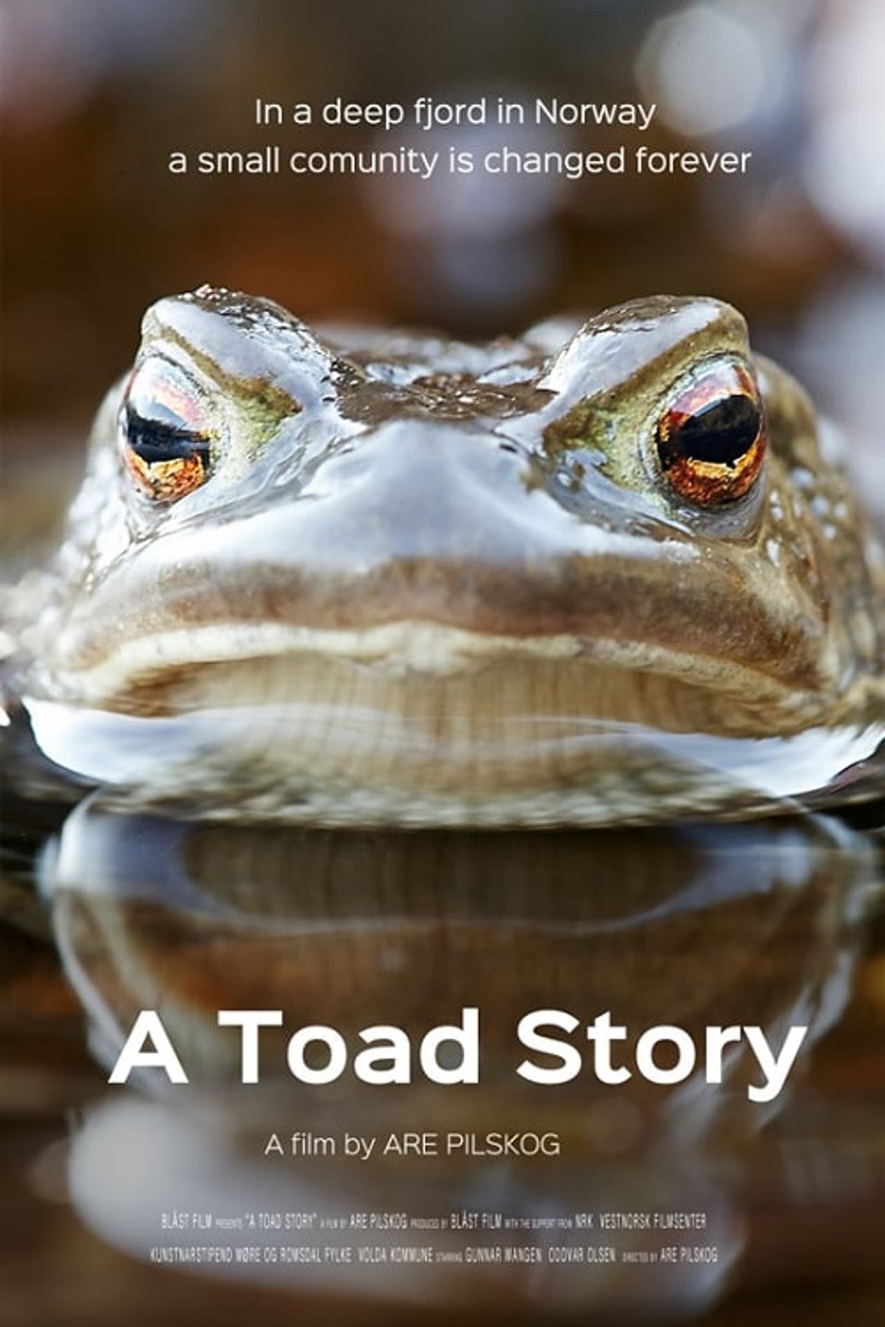 A Toad Story preview 2