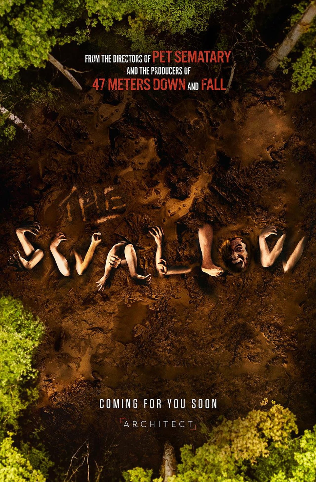 The Swallow preview 2