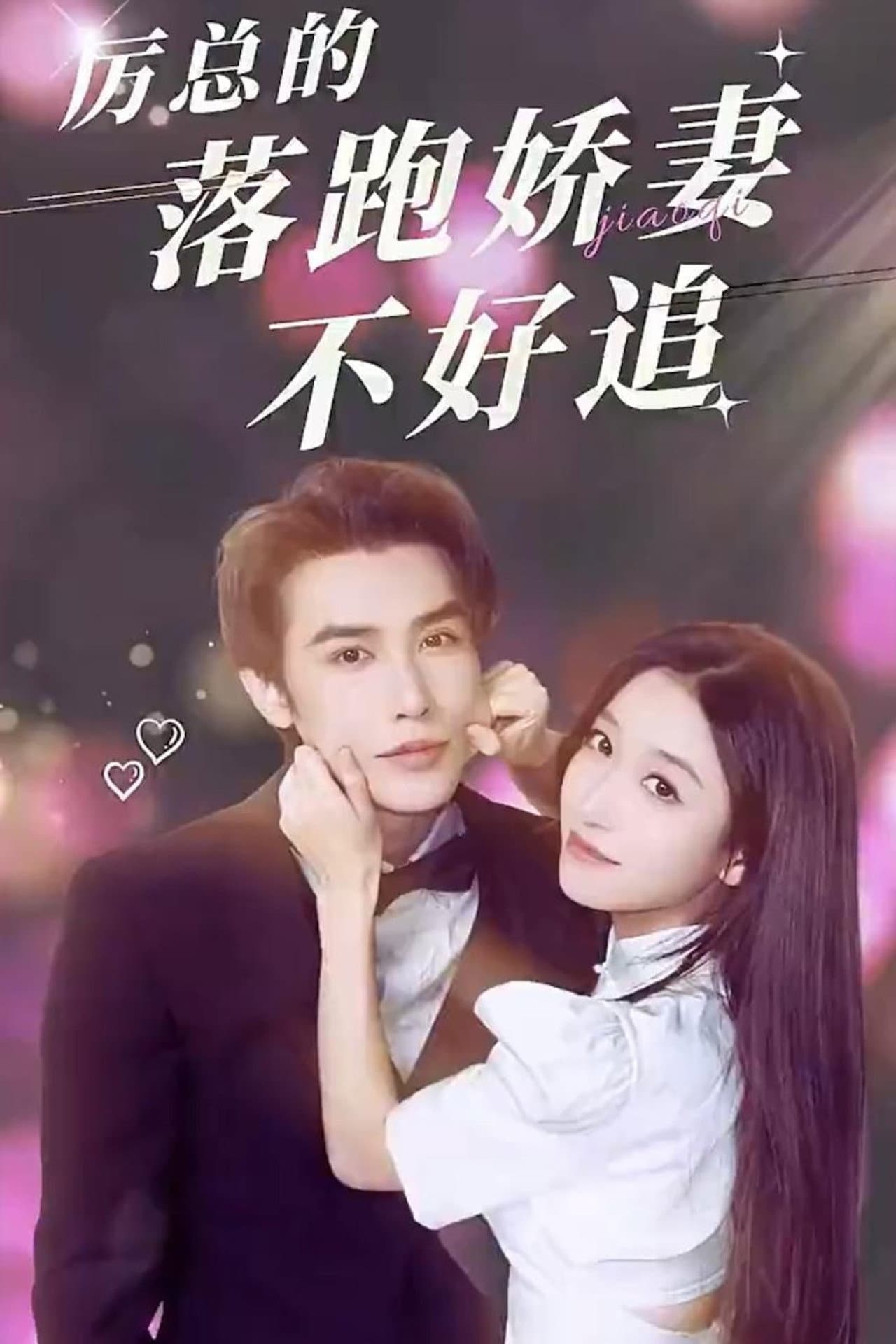Li Yan's Wife Is Not Easy to Chase preview 1