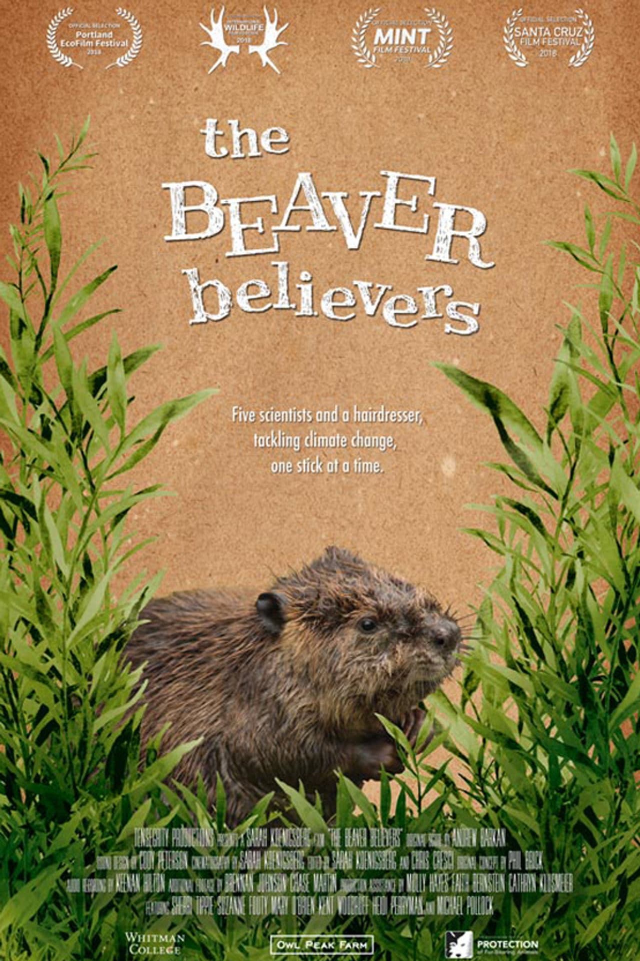 The Beaver Believers preview 1
