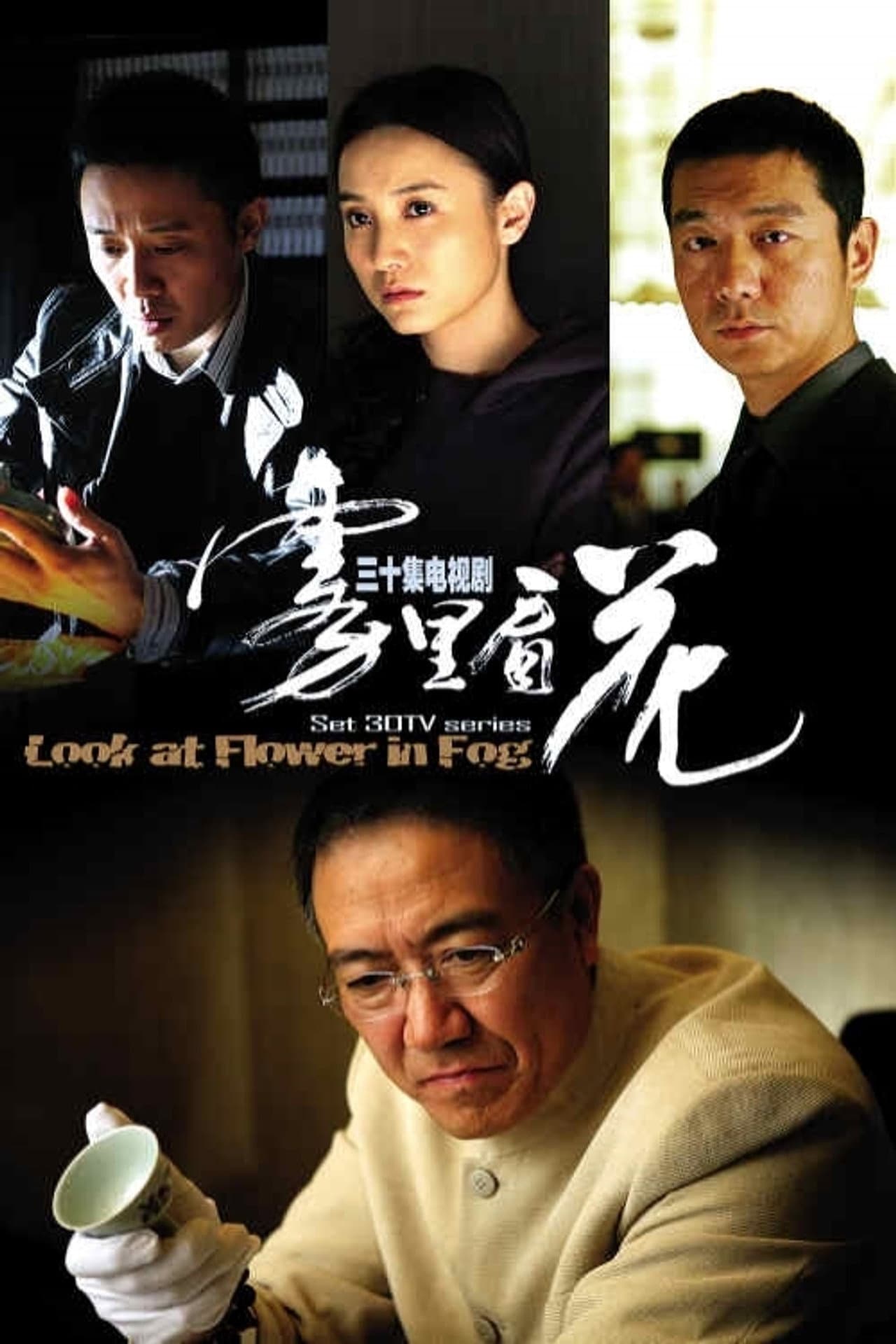 Look at Flower in Fog preview 2